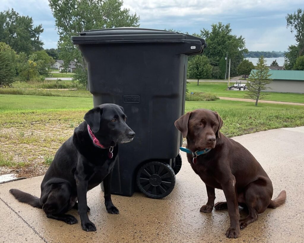 Toter 79232-R1209 32 Gallon Blackstone Trash Can with Wheels and Attached Lid Customer Review Best 32 Gallon Trash Can With Wheels