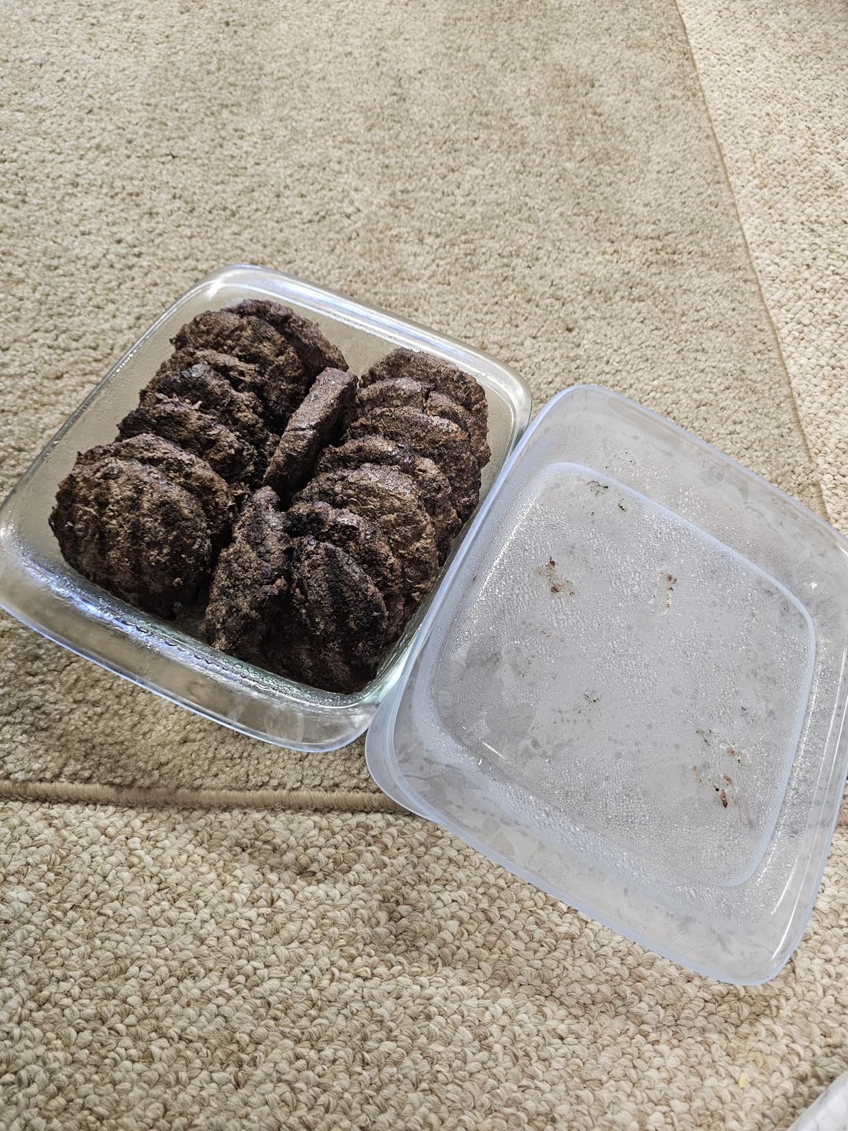 OXO Good Grips Freezer-to-Oven Safe 3 Qt Glass Baking Dish with Lid, 9 x 13 Customer Review OXO Good Grips Freezer-to-Oven Safe 3 Qt Glass Baking Dish with Lid, 9 x 13 - Customer Photo 2