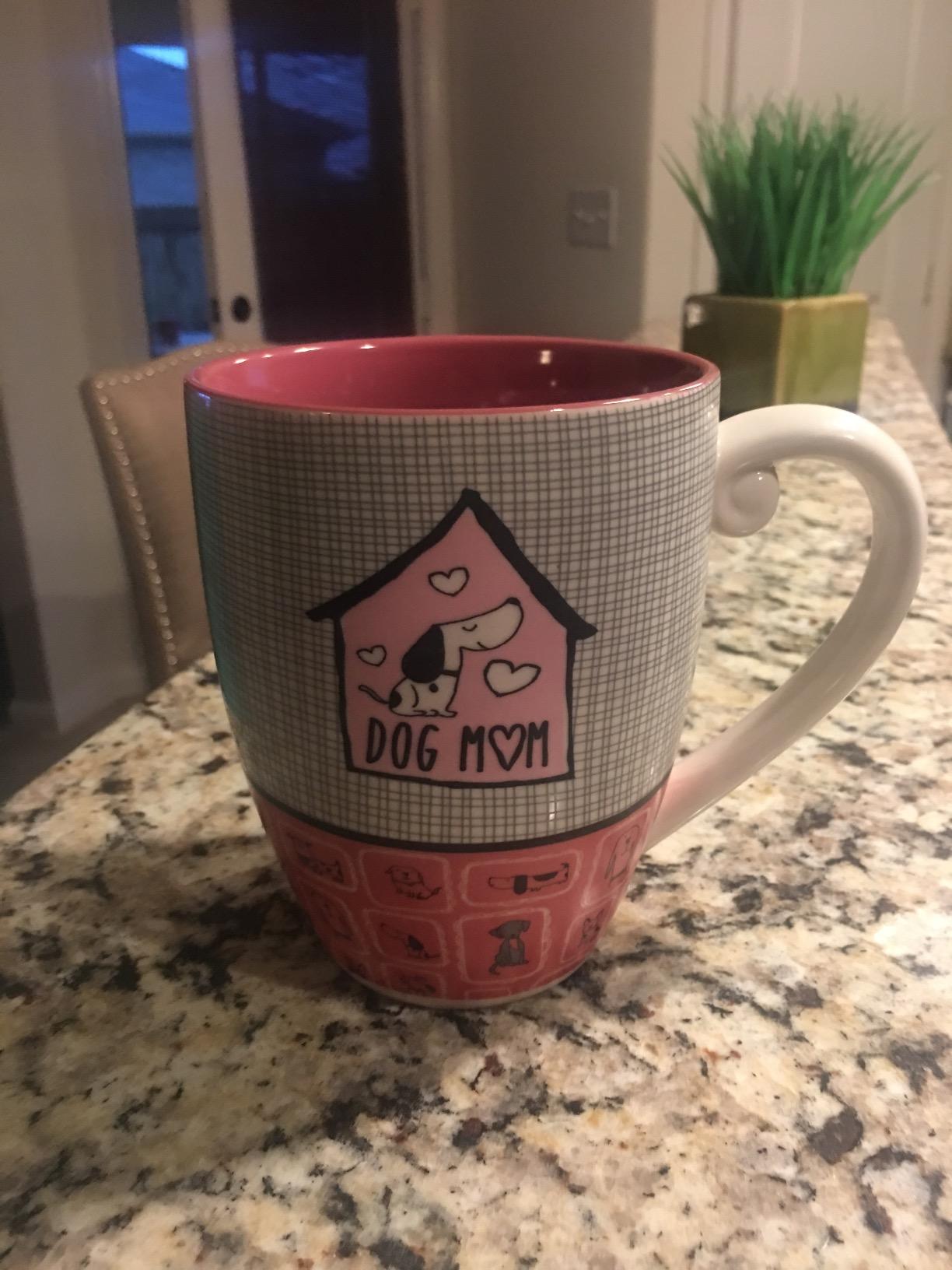 It's Cats & Dogs Cat Mom Ceramic Extra Large Coffee Mug Tea Cup, 20 oz, Teal - Customer Photo 2