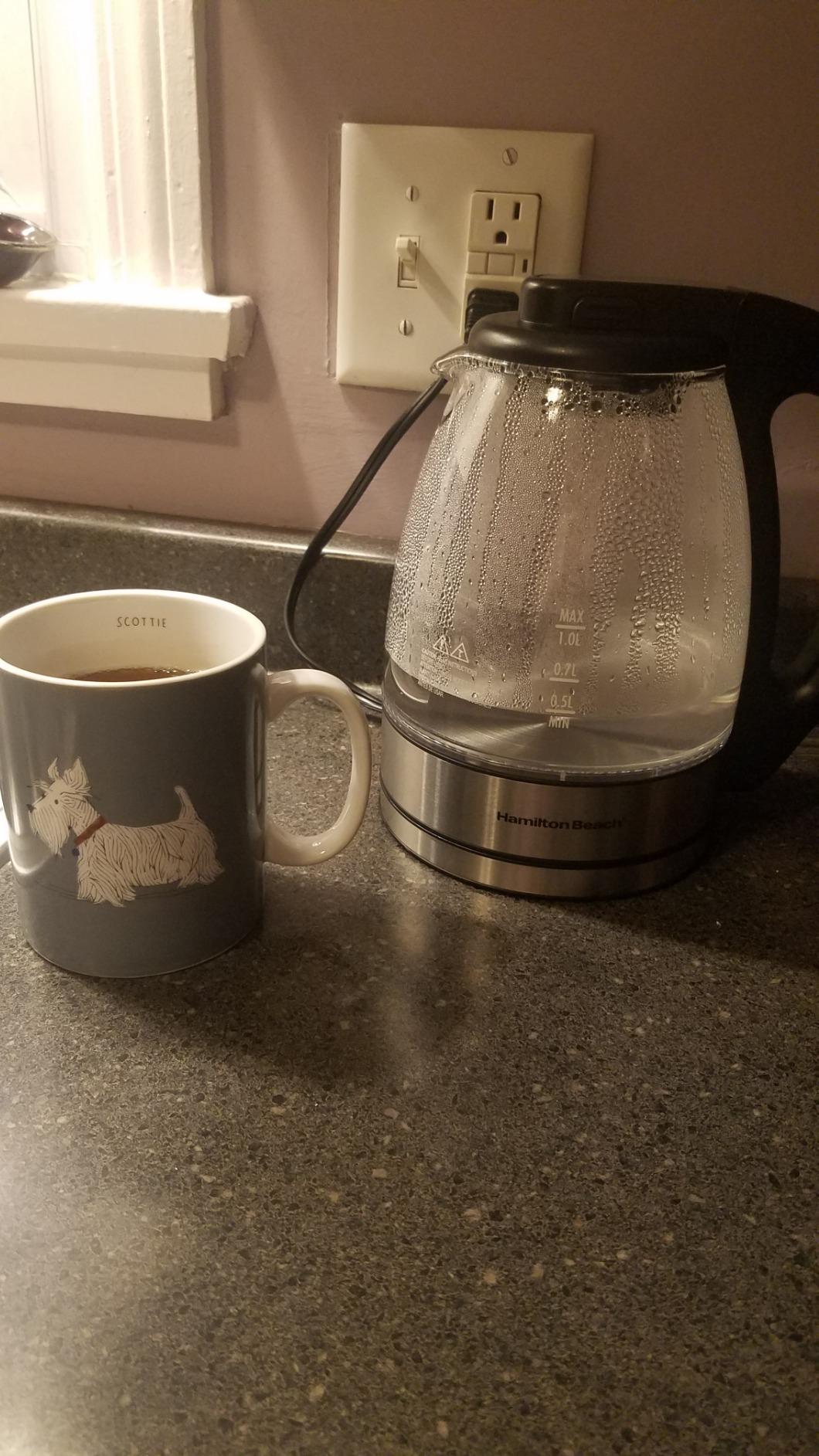 Hamilton Beach Glass Electric Tea Kettle, Water Boiler & Heater, 1 Liter, 1500 Watts for Fast Boiling, BPA Free, Cordless Serving, Auto-Shutoff & Boil-Dry Protection, Soft Blue LED (40930) - Customer Photo 2