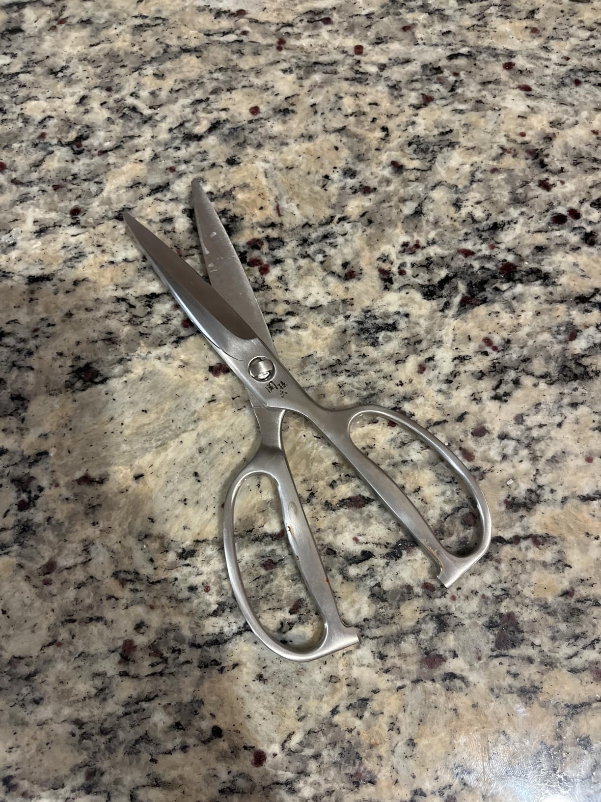 Kai Corporation DH3345 Seki Magoroku Kitchen Scissors, Disassembly, Forged, All Stainless Steel, Kitchen Tool, Made in Japan - Customer Photo 1