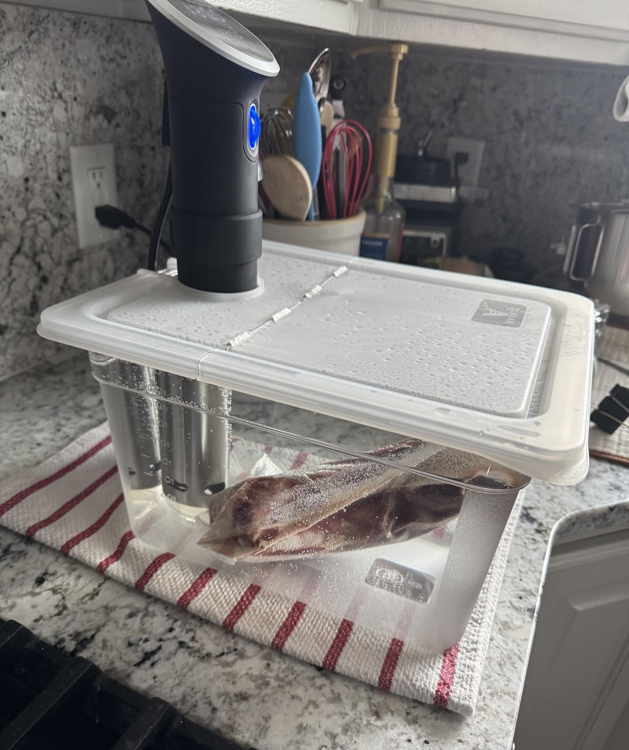 EVERIE Sous Vide Container 12 Quart EVC-12 with Collapsible Hinged Lid Compatible with Anova Nano or AN500-US00 or Anova Pro 3.0 or Anova Mini, Also Fits Instant Pot customer photo 1