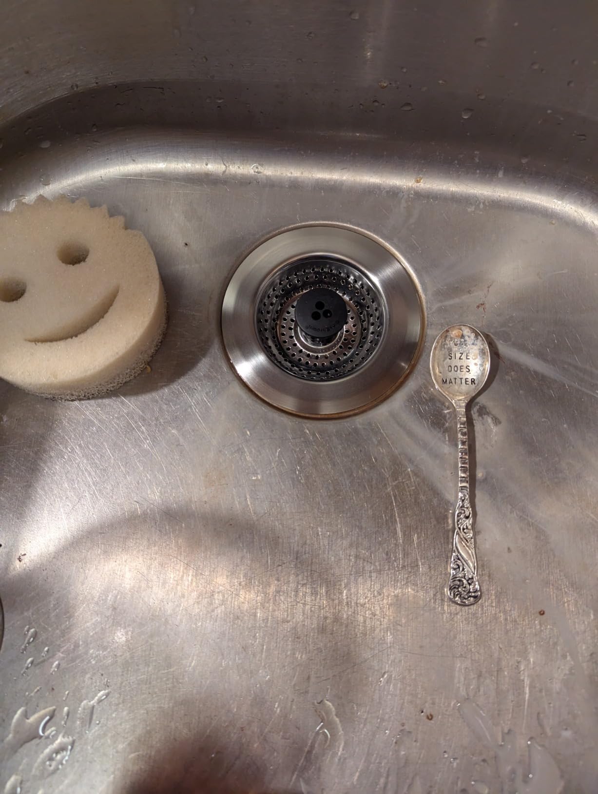 Kitchen SinkShroom Revolutionary Clog-Free Stainless Steel Sink Strainer, Black, 1-(Pack) - Customer Photo 1