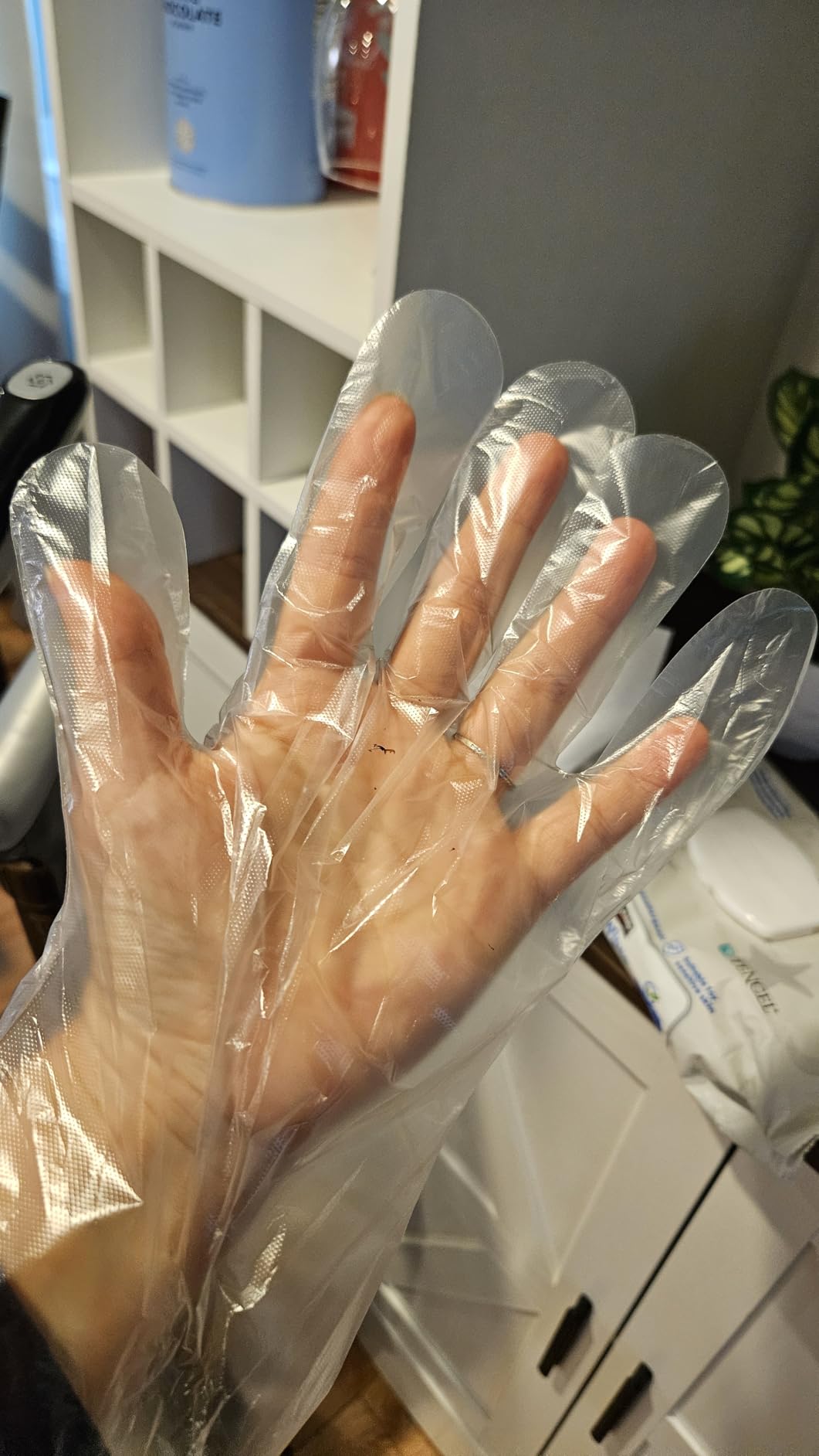 Brandon-super Food Prep Gloves Plastic Food Safe Brandon-super Gloves, Food Handling, One Size Fits Most Poly 500ct Clear 500 Count Customer Review Brandon-super Food Prep Gloves Plastic Food Safe Brandon-super Gloves, Food Handling, One Size Fits Most Poly 500ct Clear 500 Count - Customer Photo 1