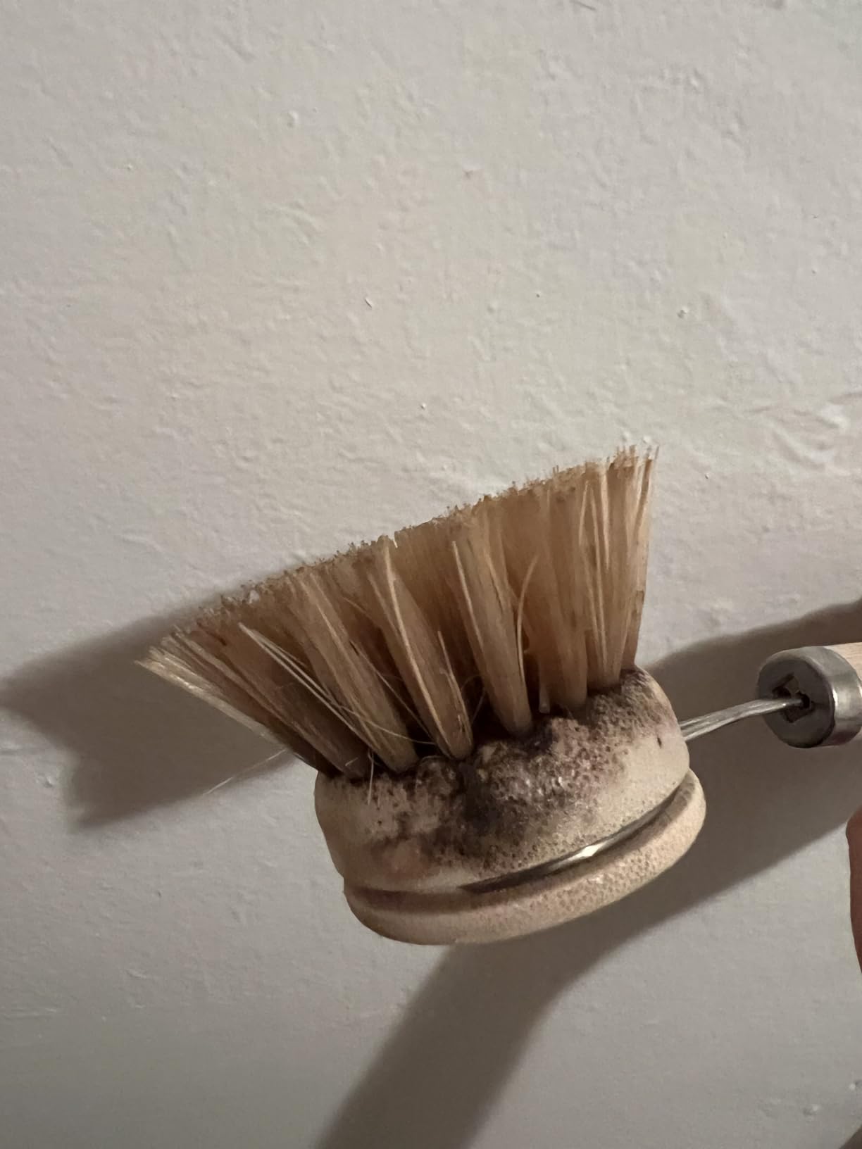 Vove Bamboo Dish Brush, FSC-Certified - Includes 3 Replacement Heads - Natural Fiber Bristles - Non-Toxic, Plastic-Free - Scrub Brush for Pots, Pans & Dishes - Customer Photo 1