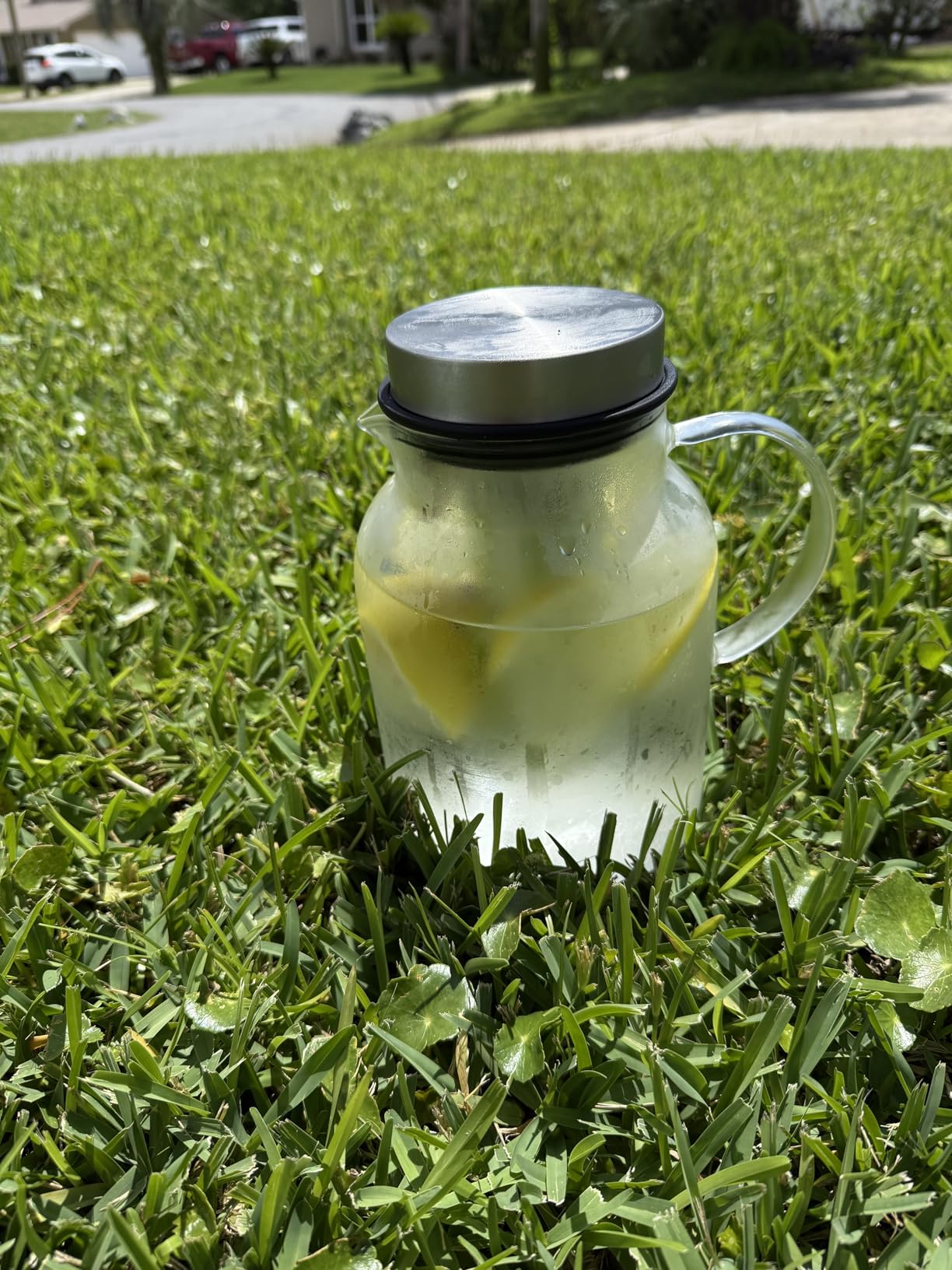 Glass Water Pitcher, Fruit Infuser Pitcher with Removable Lid, High Heat Resistance Infusion Carafe for Hot/Cold Water, Flavor-Infused Beverage & Iced Tea - 2 Qt - Customer Photo 1
