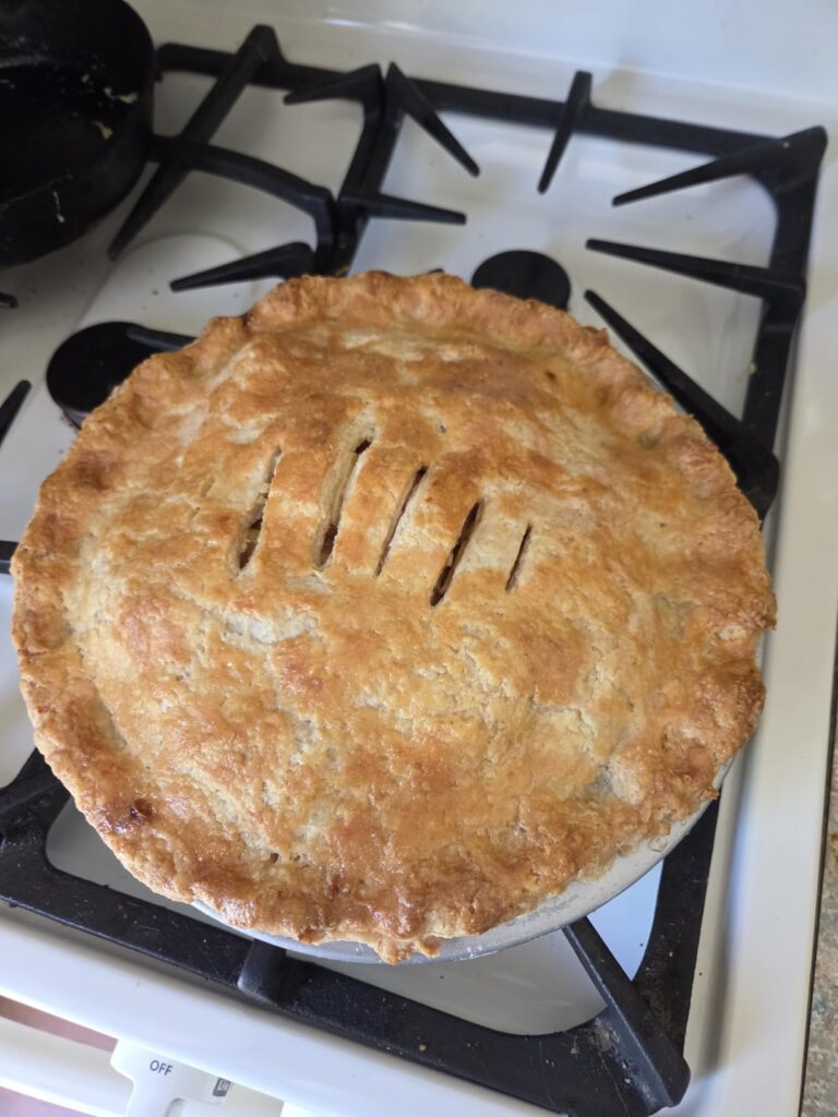 Best Metal Pie Pan