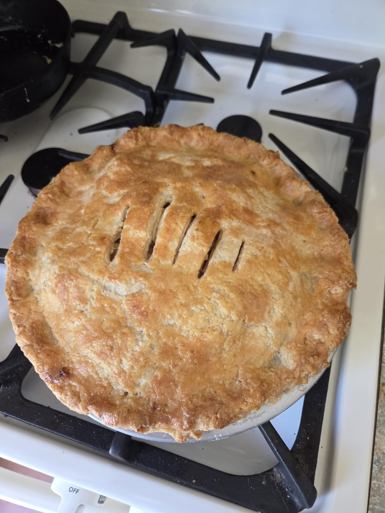 USA Pan Bakeware Aluminized Steel Commercial Pie Pan, Set of 2, Silver customer photo 1