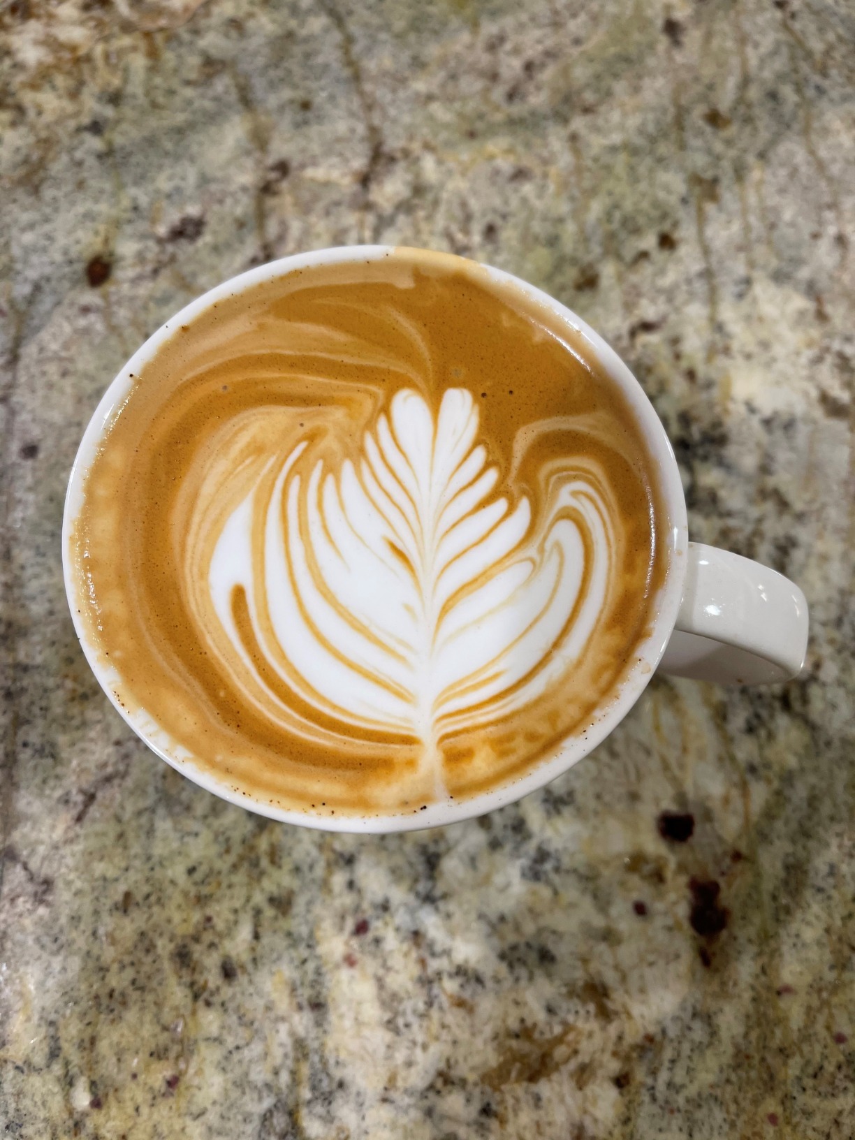 Breville Barista Pro Espresso Machine BES878BSS, Brushed Stainless Steel - Customer Photo 1