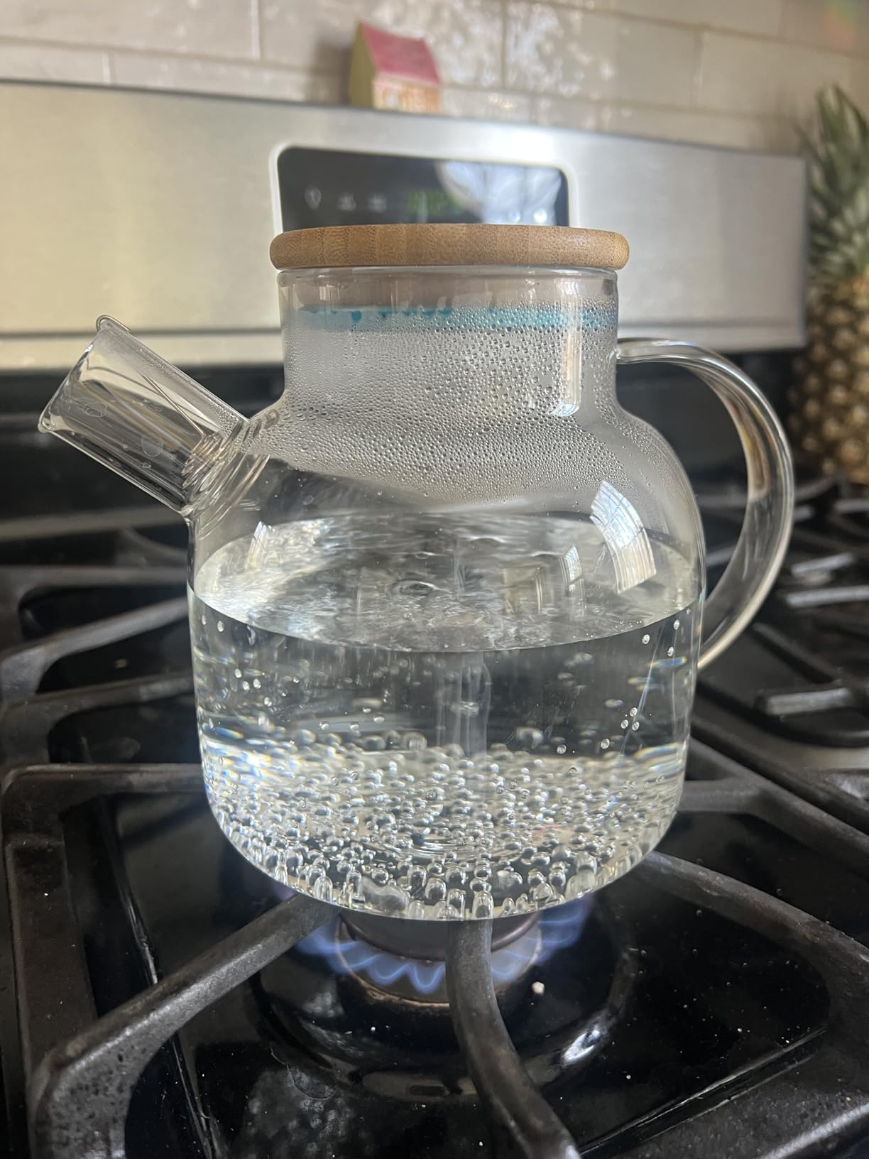 CnGlass Glass Teapot Stovetop Safe,30.4oz Clear Tea pot with Removable Filter Spout,Loose Leaf and Blooming Tea Maker Customer Review CnGlass Glass Teapot Stovetop Safe,30.4oz Clear Tea pot with Removable Filter Spout,Loose Leaf and Blooming Tea Maker - Customer Photo 2