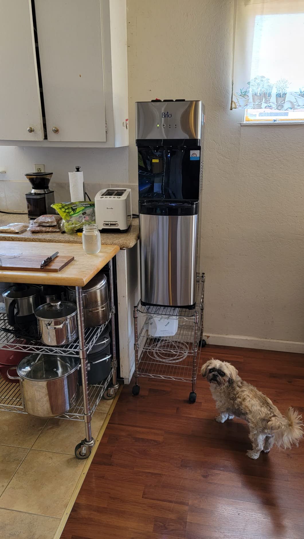 Brio 520 UV Self-Cleaning Bottleless Water Cooler Dispenser, UL Certified | Built-in 2 Stage Filtration (2 Free Replacement Filters Included) Reduces PFAS & Microplastics | 3 Temp (Hot Cold, Room) - Customer Photo 1