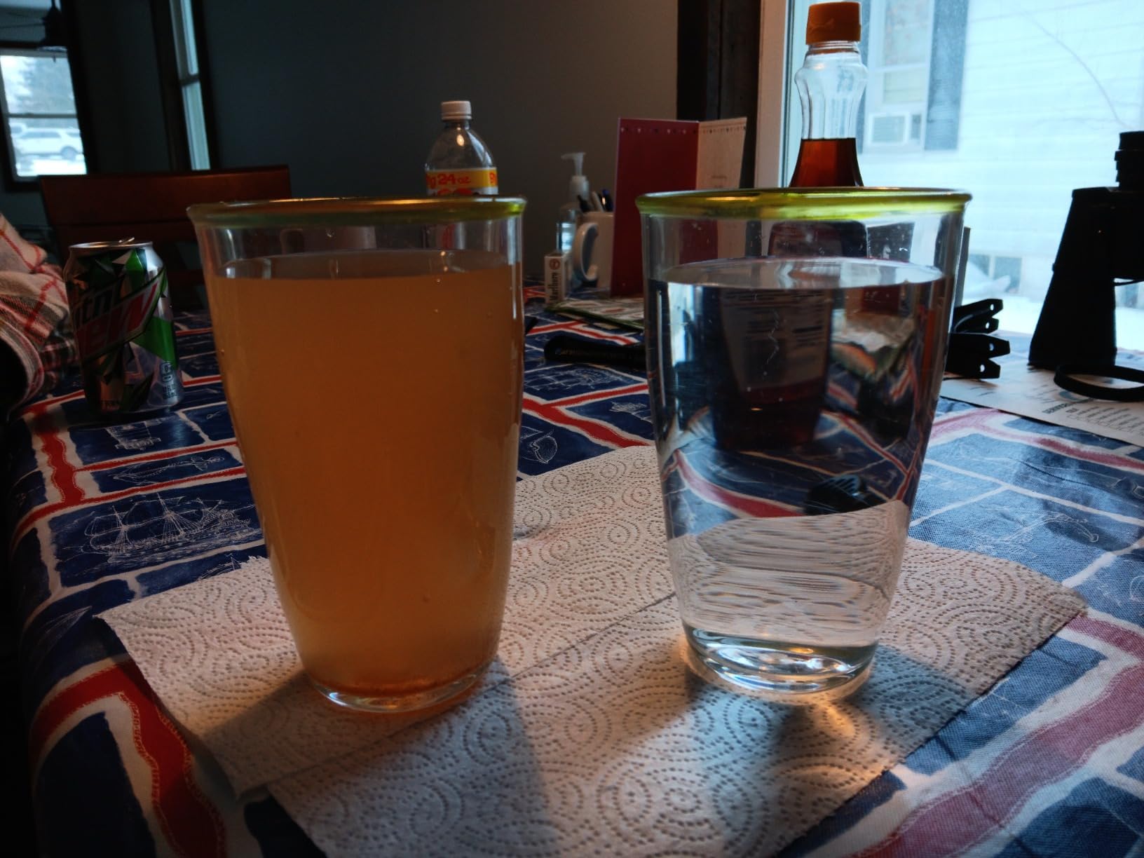 PRO+AQUA Heavy Duty Whole House Well Water Filter System Customer Review PRO+AQUA Heavy Duty Whole House Well Water Filter System - Customer Photo 1