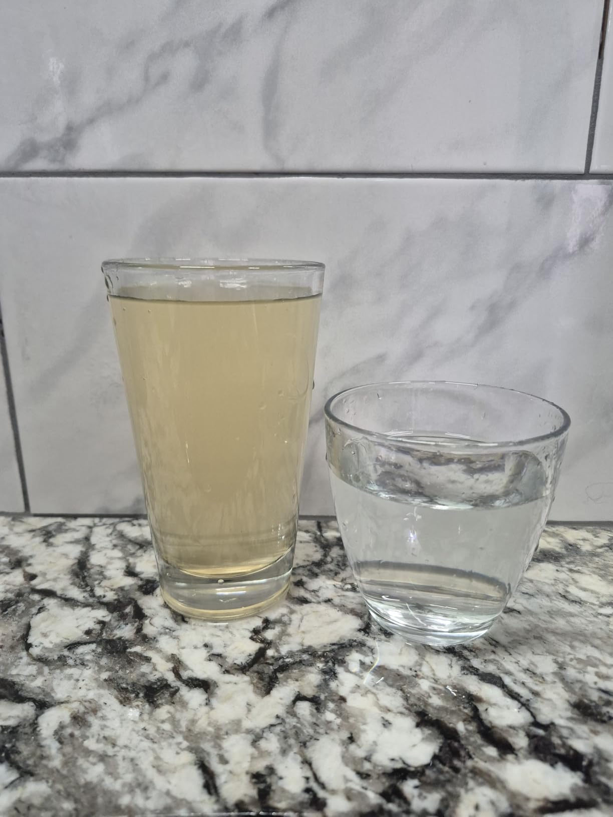 PRO+AQUA Heavy Duty Whole House Well Water Filter System Customer Review PRO+AQUA Heavy Duty Whole House Well Water Filter System - Customer Photo 2