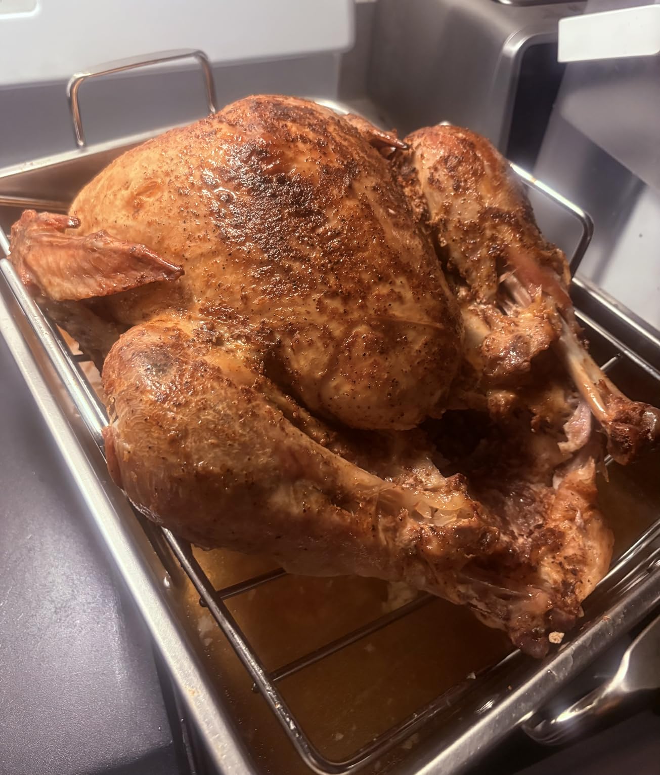 E-far Roasting Pan, 16 x 11.5 Inch Stainless Steel Turkey Roaster with V-shaped & Flat Rack, Non-toxic & Heavy Duty Deep Broiling Pan, Dishwasher Safe - Large - Customer Photo 2