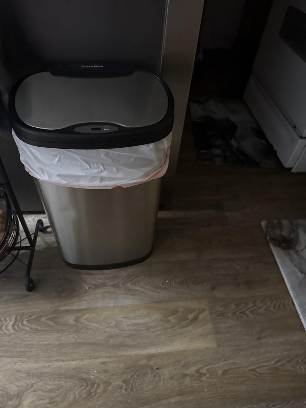 Ninestars DZT-50-25 Motion Sensor Trash Can, Large, Silver - Customer Photo 1