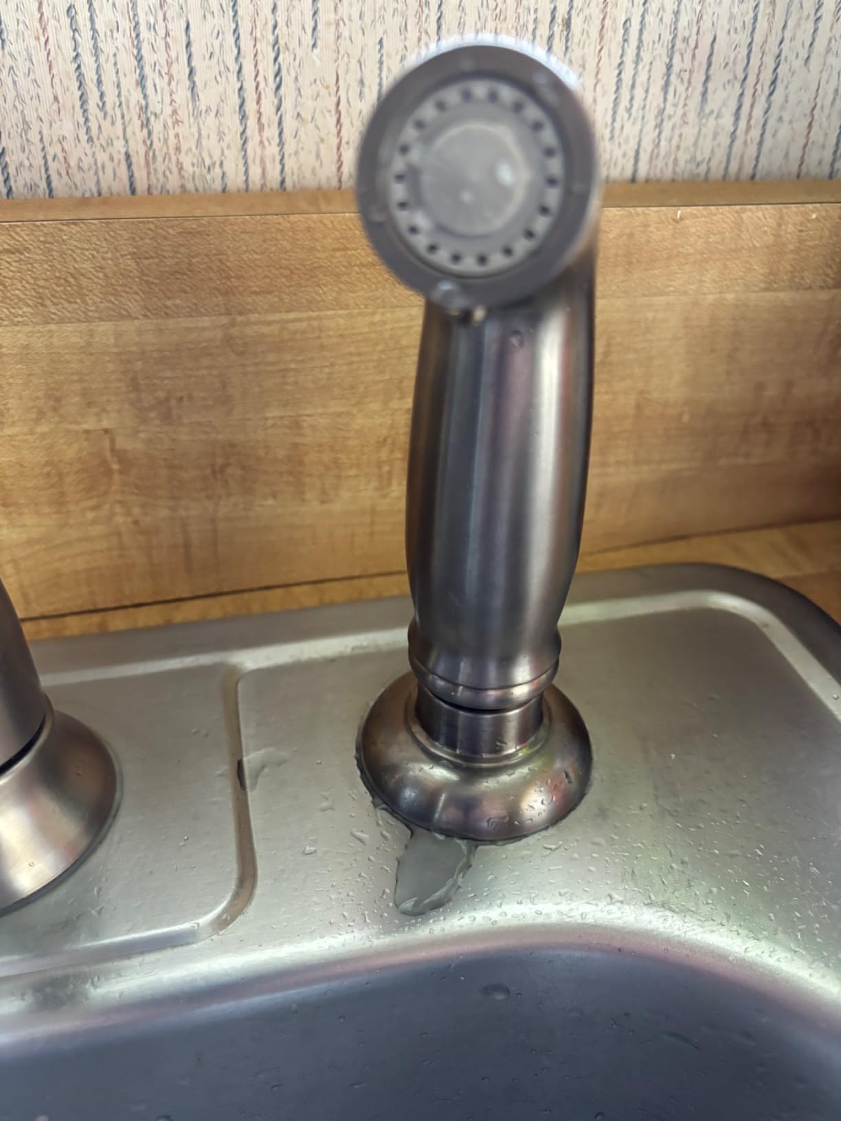 Universal Kitchen Sink Side Sprayer with Quick Side Connector Compatible with Moen Faucet Sprayer Replacement, Kitchen Sink Faucet Sprayer Attachment with Water Hose/Holder, Brushed Nickel Finish Customer Review Universal Kitchen Sink Side Sprayer with Quick Side Connector Compatible with Moen Faucet Sprayer Replacement, Kitchen Sink Faucet Sprayer Attachment with Water Hose/Holder, Brushed Nickel Finish - Customer Photo 4