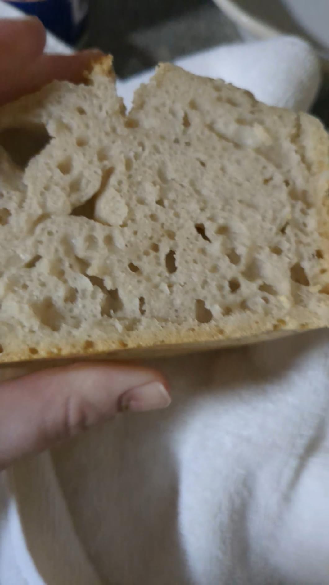 Lodge Seasoned Cast Iron Loaf Pan 8.5 Inches customer photo 1