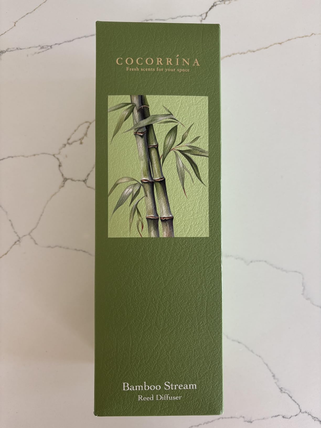 Cocorrina Premium Reed Diffuser Set with Preserved Baby's Breath & Cotton Stick Lavender Thyme | 6.7oz Scent Fragrance Lavender Oil Diffuser for Bedroom Bathroom Home Decor - Customer Photo 2