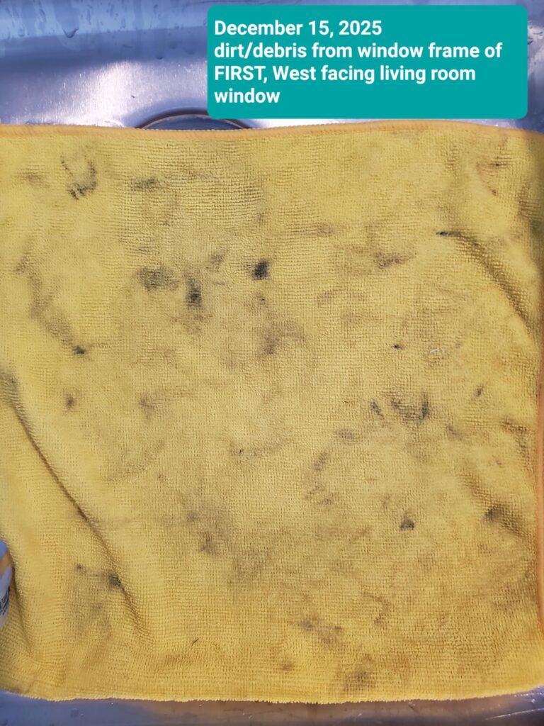 Best Cleaning Cloths For Kitchen