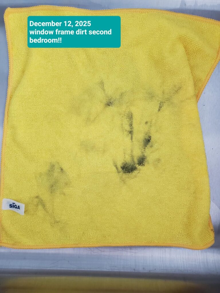 Best Cleaning Cloths For Kitchen