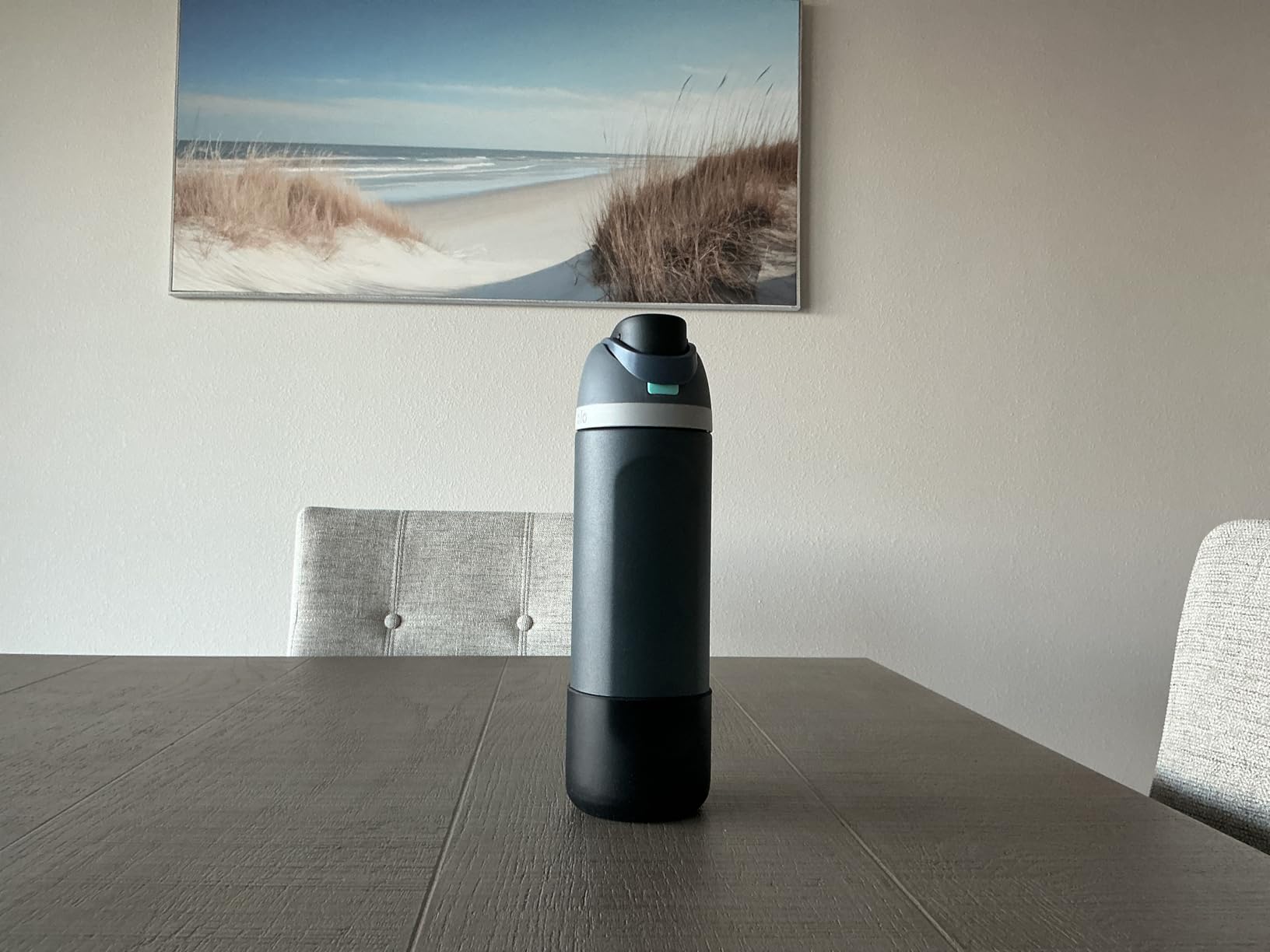 Owala FreeSip Insulated Stainless Steel Water Bottle with Straw for Sports, Travel, and School BPA-Free Sports Water Bottle, 32 oz, Boneyard - Customer Photo 2