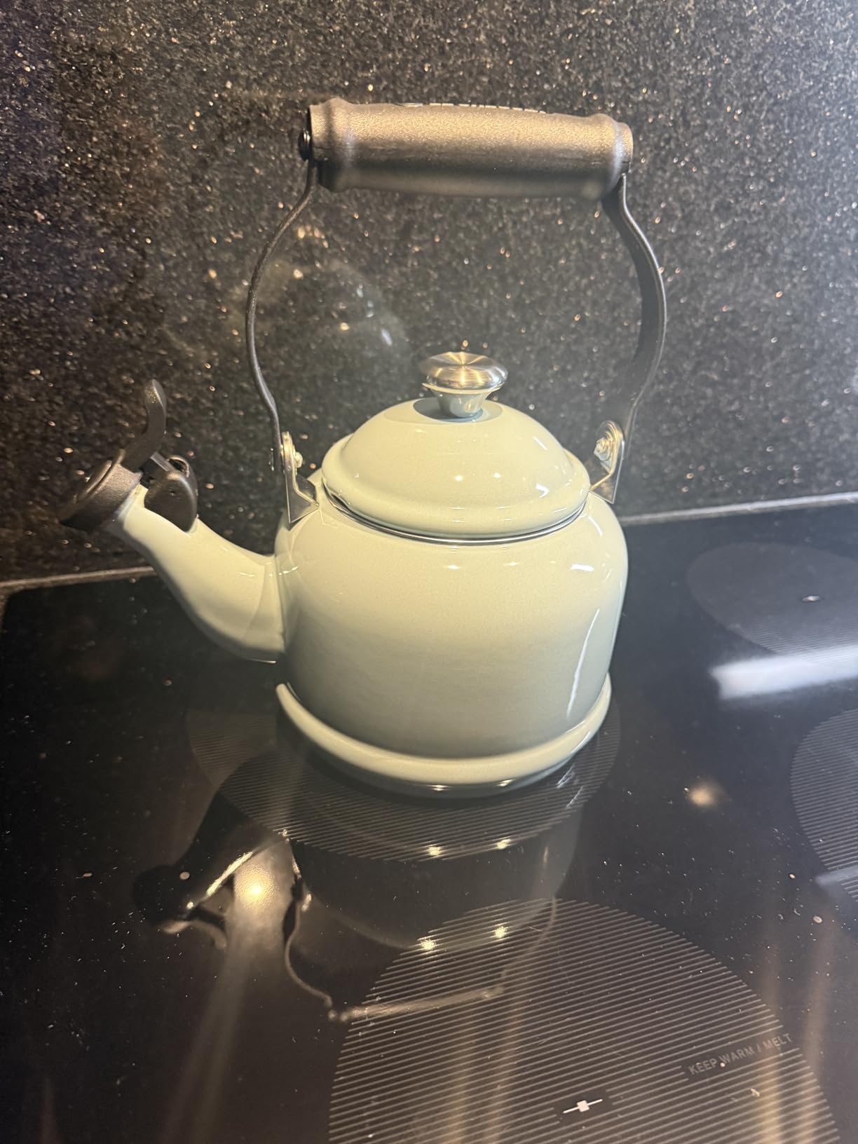 Le Creuset Enamel On Steel Demi Tea Kettle with Metal Finishes, 1.25 qt., Marseille - Customer Photo 2