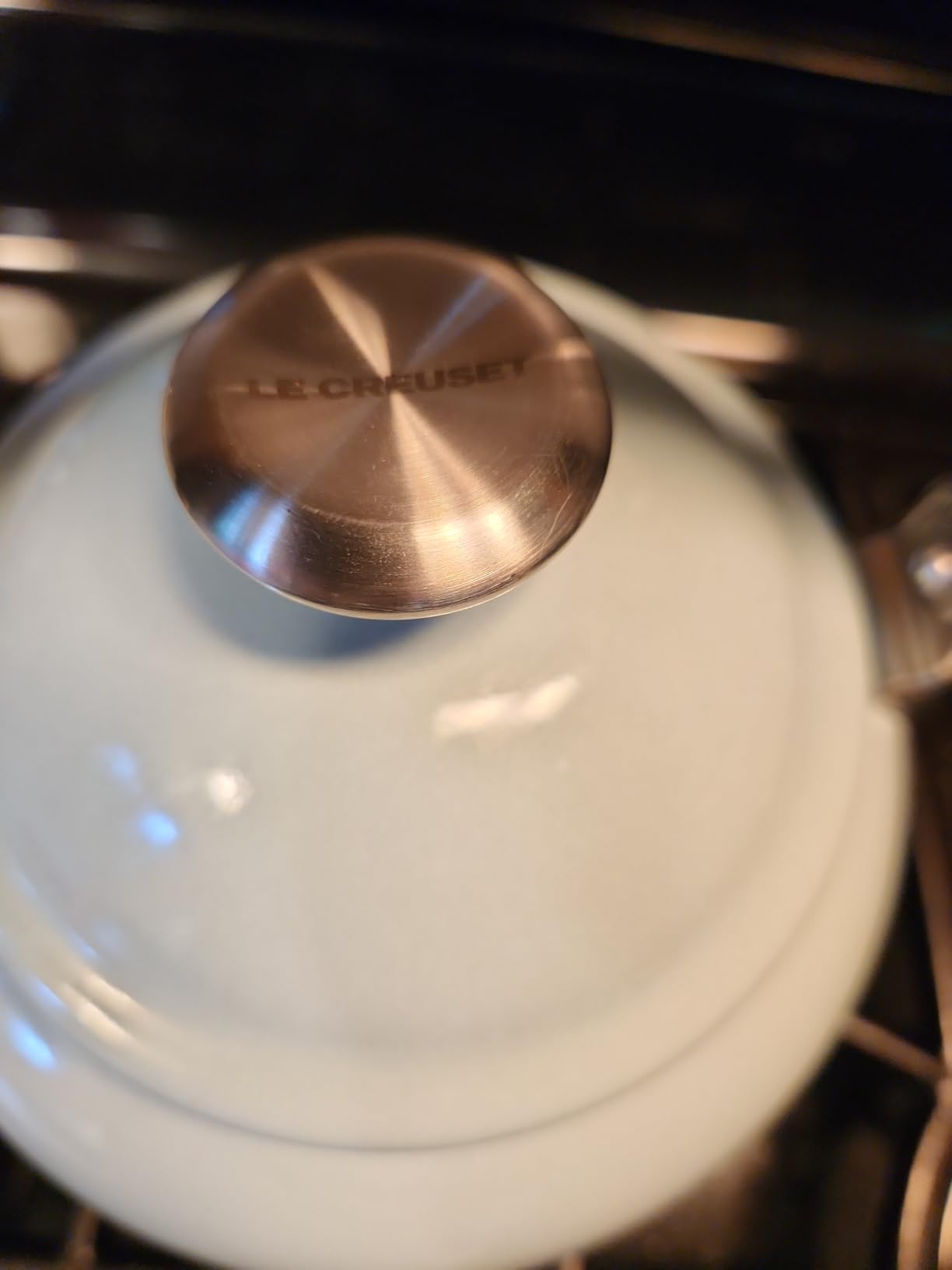 Le Creuset Enamel On Steel Demi Tea Kettle with Metal Finishes, 1.25 qt., Sea Salt Customer Review Le Creuset Enamel On Steel Demi Tea Kettle with Metal Finishes, 1.25 qt., Sea Salt - Customer Photo 5