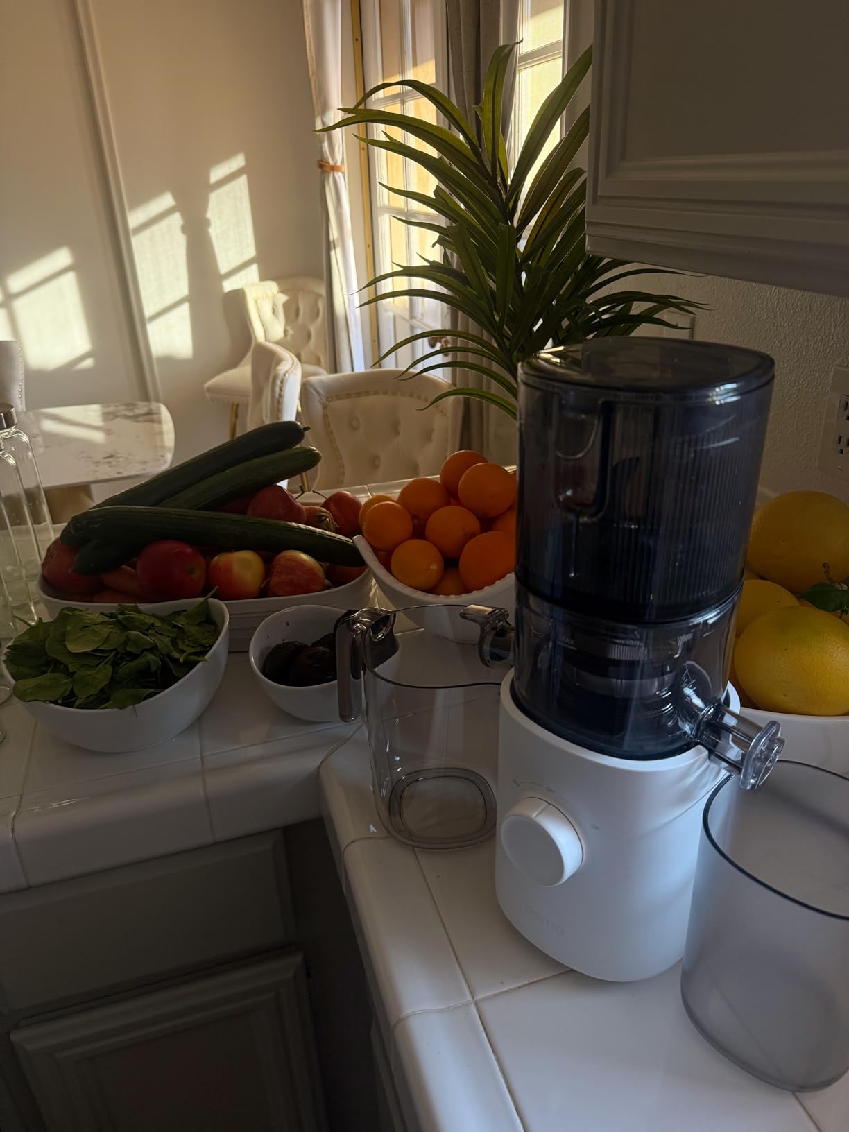 Nama J3 Compact Cold Press Juicer – Space Saving & Self Feeding for Hands-Free Operation – Lightweight, Portable Zero Waste Slow Masticating Juicer – Easy Cleanup & Assembly - Black Customer Review Nama J3 Compact Cold Press Juicer – Space Saving & Self Feeding for Hands-Free Operation – Lightweight, Portable Zero Waste Slow Masticating Juicer – Easy Cleanup & Assembly - Black - Customer Photo 1