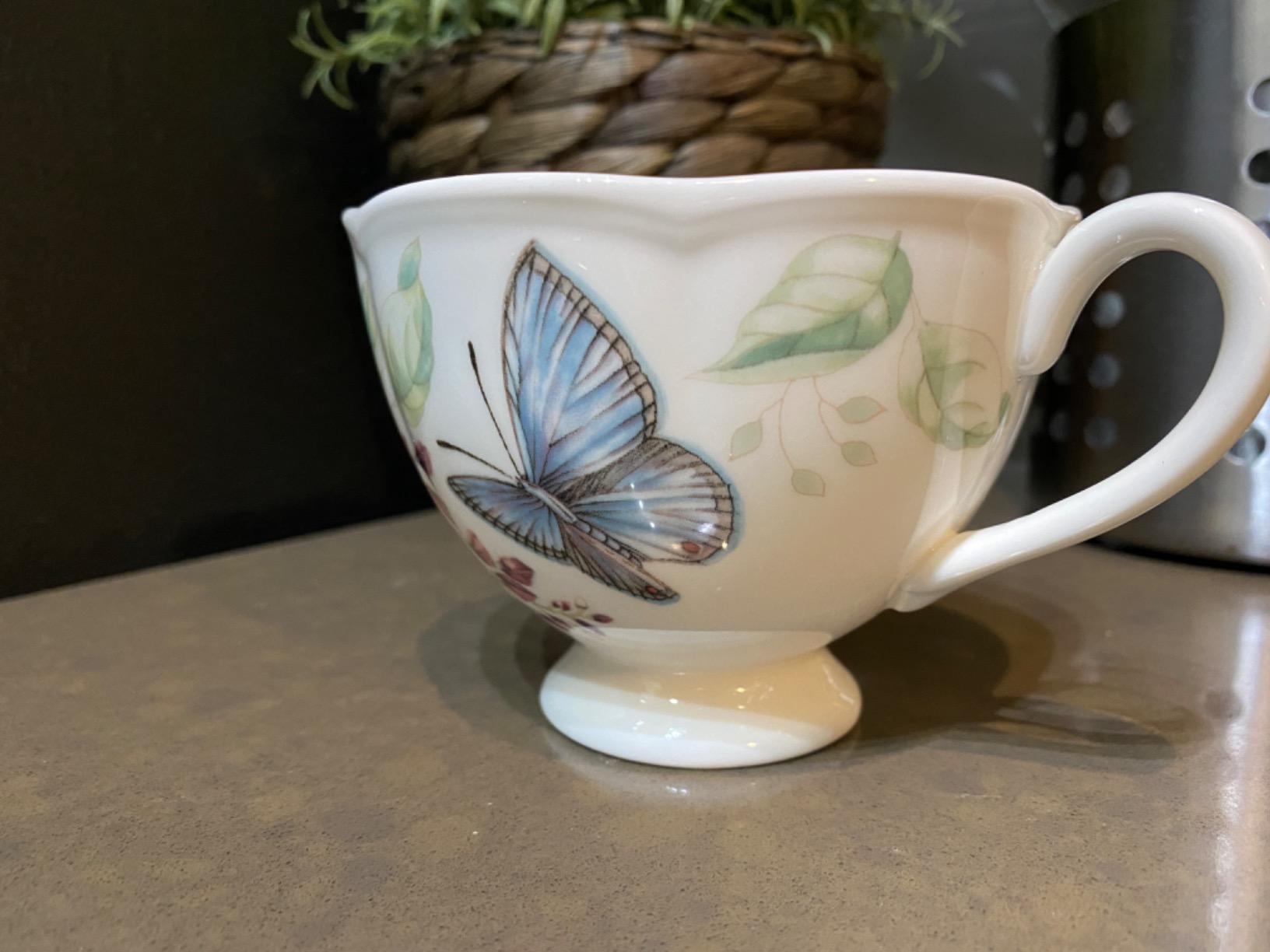 Lenox Porcelain Meadow Cup and Saucer, 1.3 LB, Blue Butterfly customer photo 1