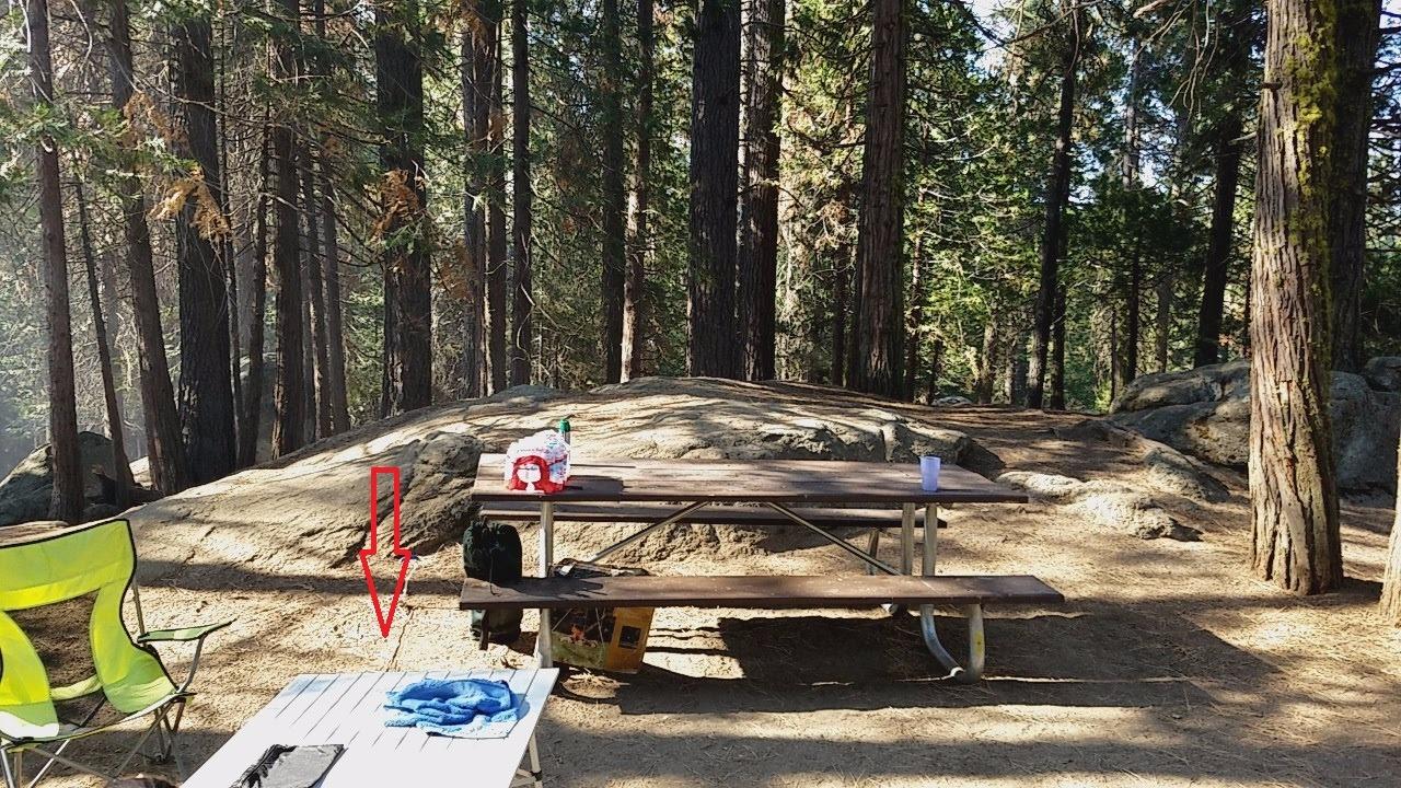 Coleman Outdoor Folding Table, Sturdy Aluminum Camping Table with Snap-Together Design, Seats 4 & Carry Bag Included, Great for Camping, Tailgating, Grilling, Hunting, Outdoor Dining & More customer photo 2