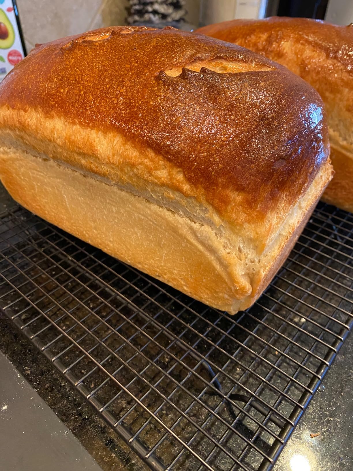 Le Creuset Stoneware Heritage Loaf Pan, 9