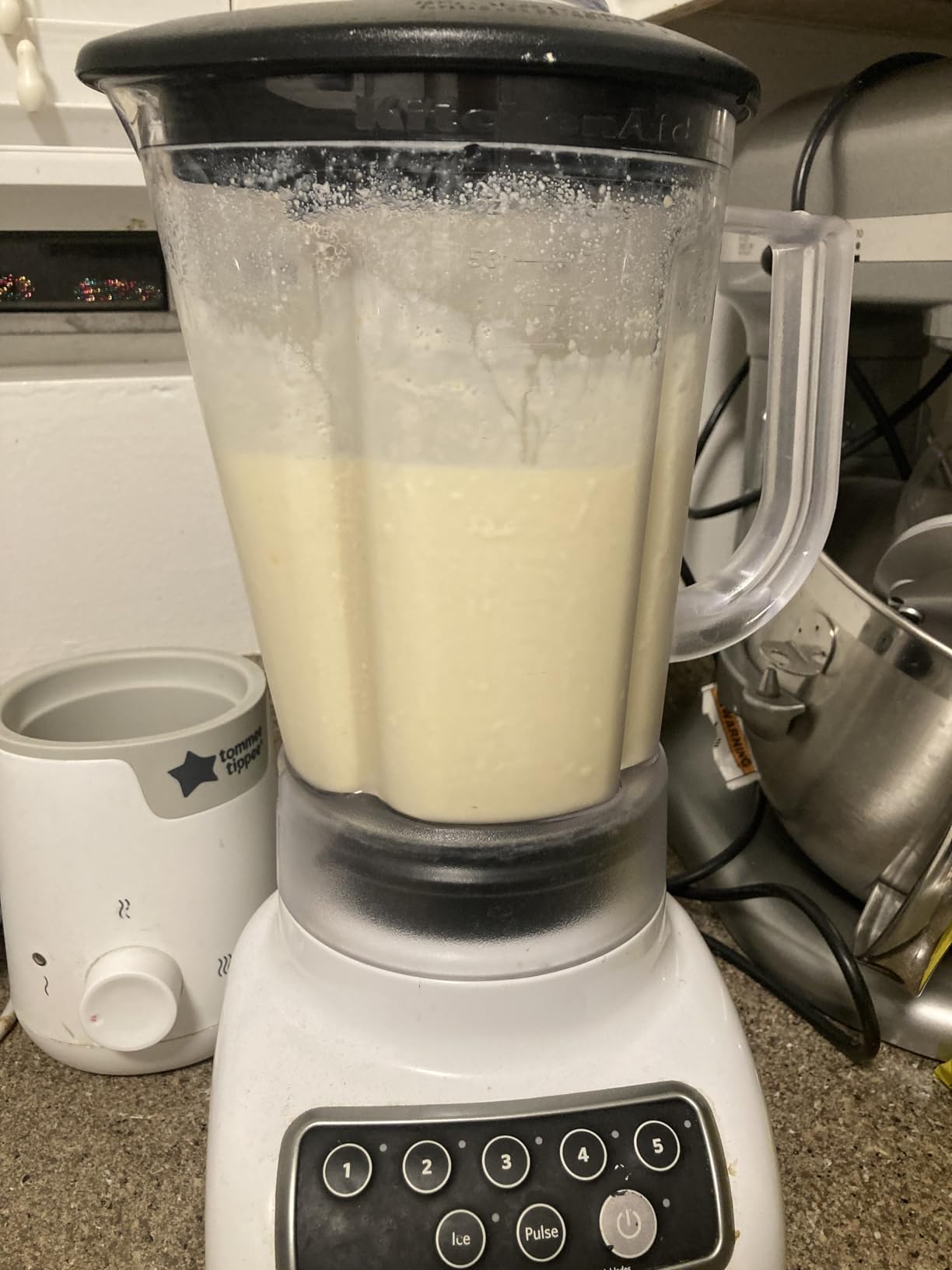 1 TBSP Milk Kefir Grains and eBook 
