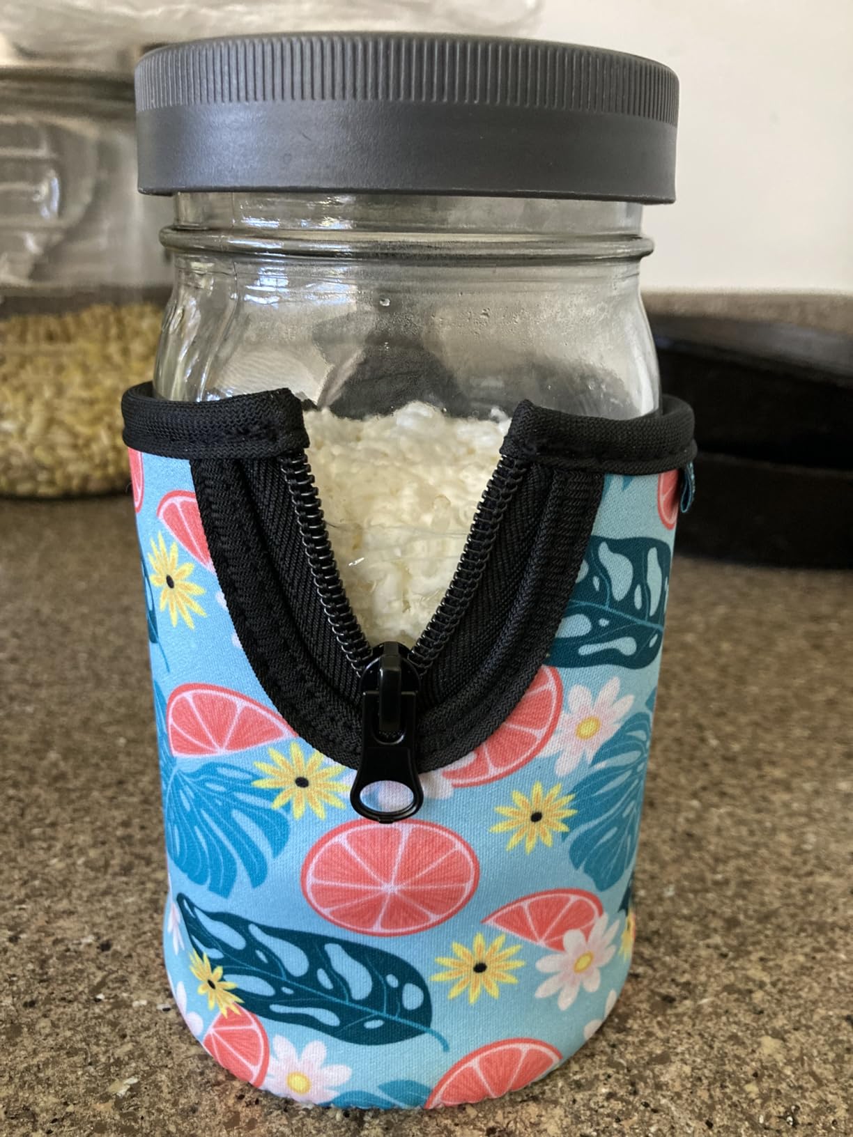 1 TBSP Milk Kefir Grains and eBook 