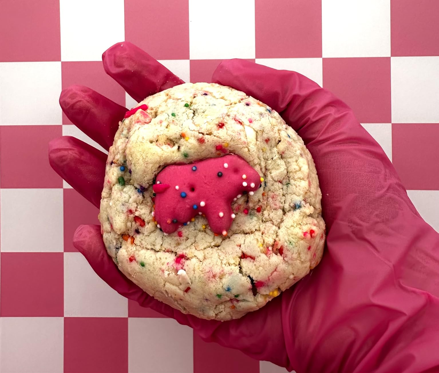 Mother's Original Circus Animal Cookies, Frosted Vanilla Shortbread Cookies with Rainbow Sprinkles, 12 Count Snack Packs customer photo 1