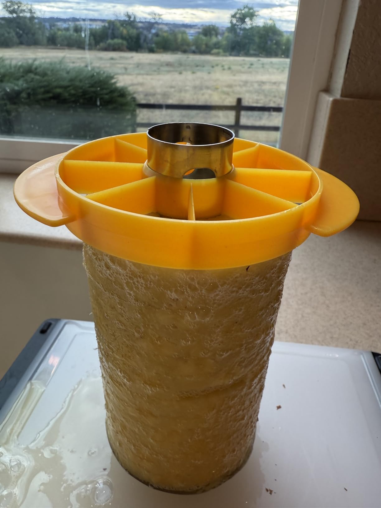 SameTech Easy Kitchen Tool Stainless Steel Fruit Pineapple Peeler Corer Slicer Cutter customer photo 2