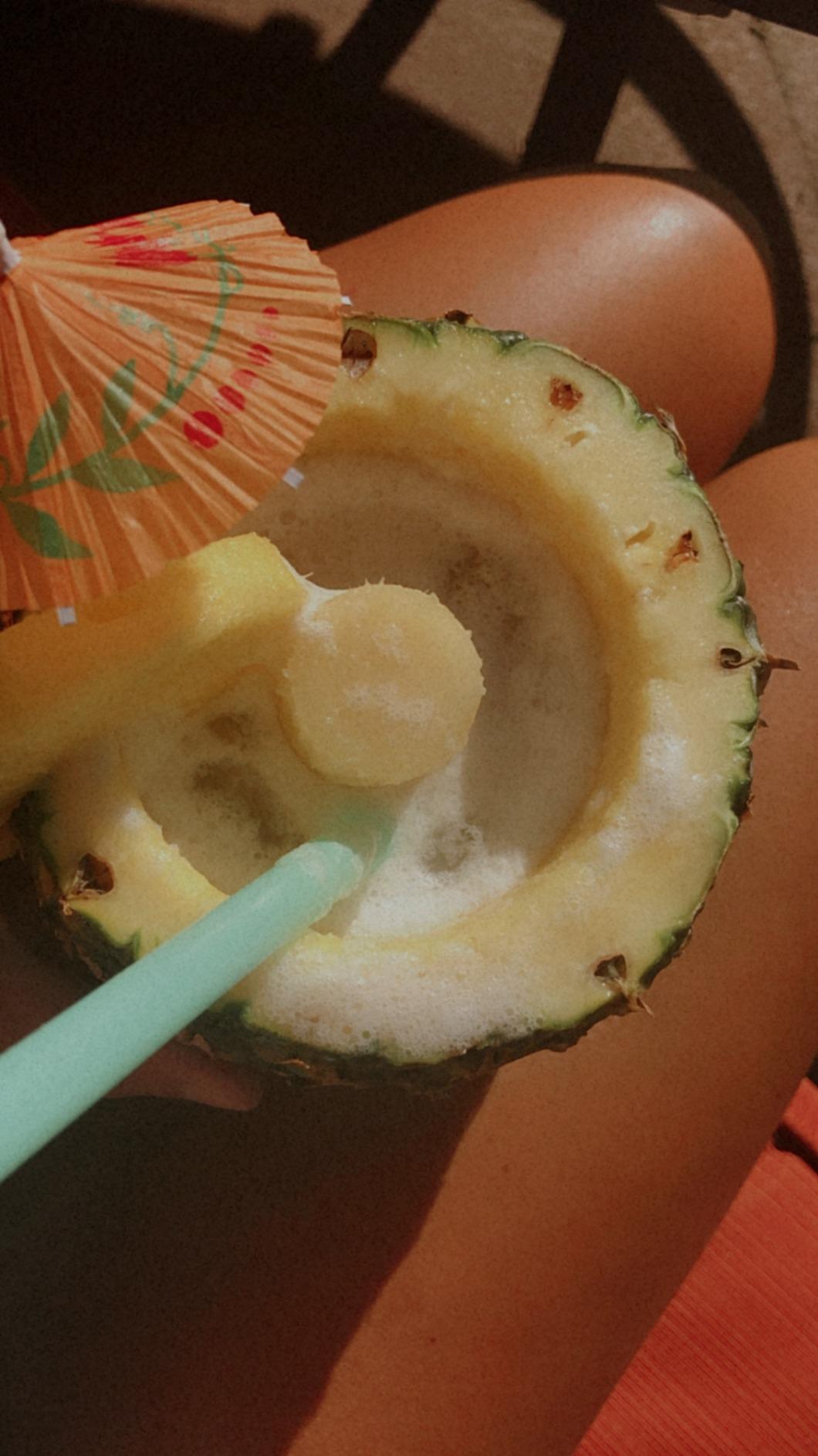Stainless Steel Pineapple Corer with a Recipe eBook includes One Year Warranty - Core Remover Tool with Detachable Handle - Fast and Easy Fruit Pineapple Cutter Peeler Corer Slicer customer photo 1