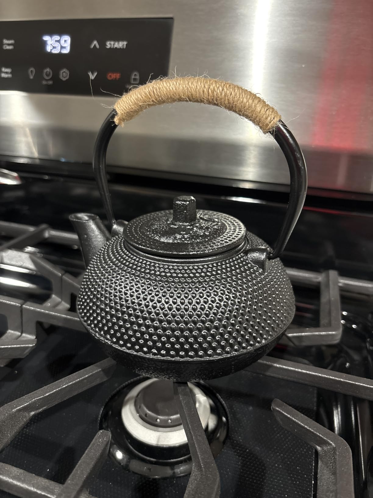 suyika Japanese Tetsubin Cast Iron Teapot Tea Kettle pot with Stainless Steel Infuser for Stovetop Safe Coated with Enameled Interior 22 oz/650 ml customer photo 1