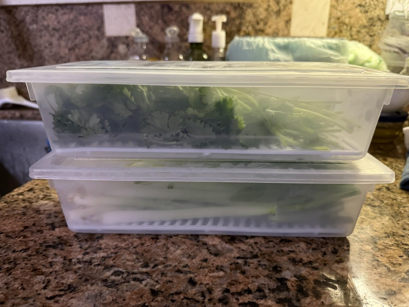 SILIVO Fruit Storage Containers for Fridge (3 Pack) - 1.5L Produce Saver Containers for Refrigerator with Removable Drain Tray Keep Fresh for Produce, Bacon, Fruits and Vegetables customer photo 2