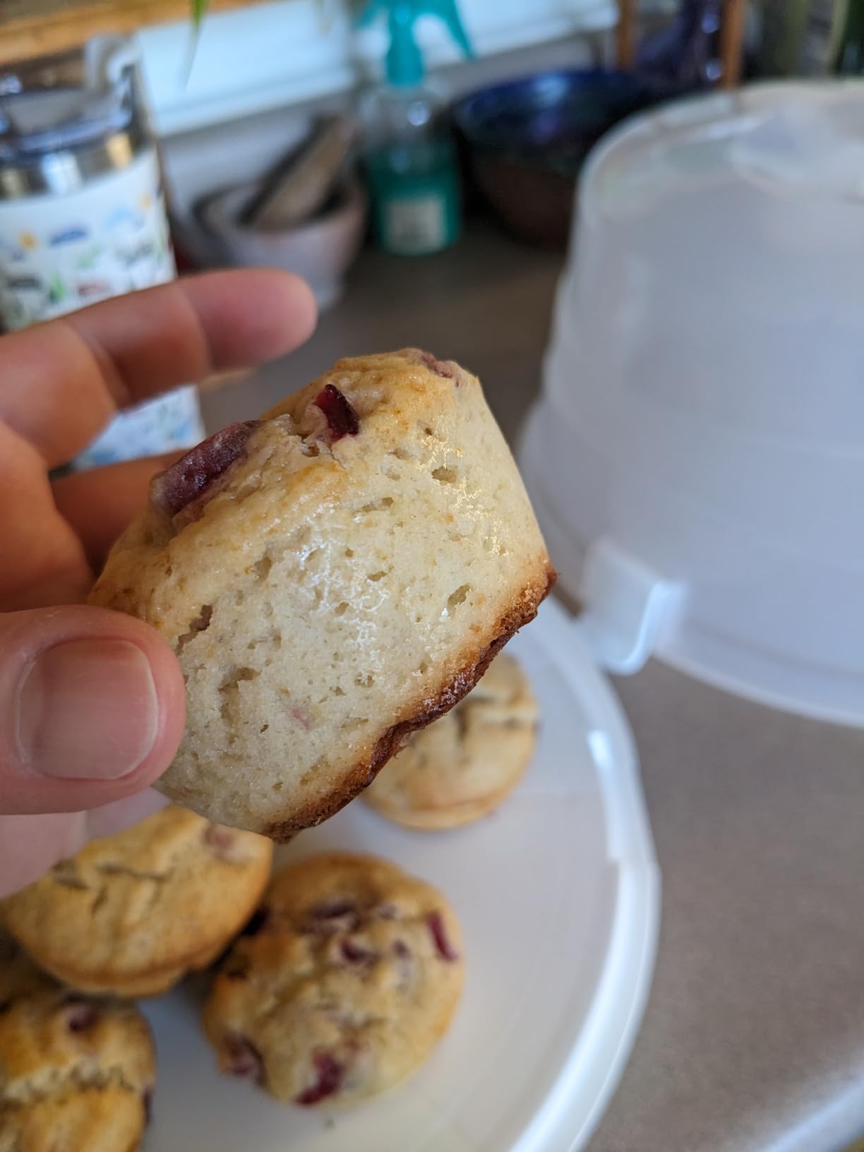 CAKETIME Silicone Muffin Pan - Cupcake Pan, Mini Loaf Pan Silicone Baking Molds Food Grade 3-Pack customer photo 2