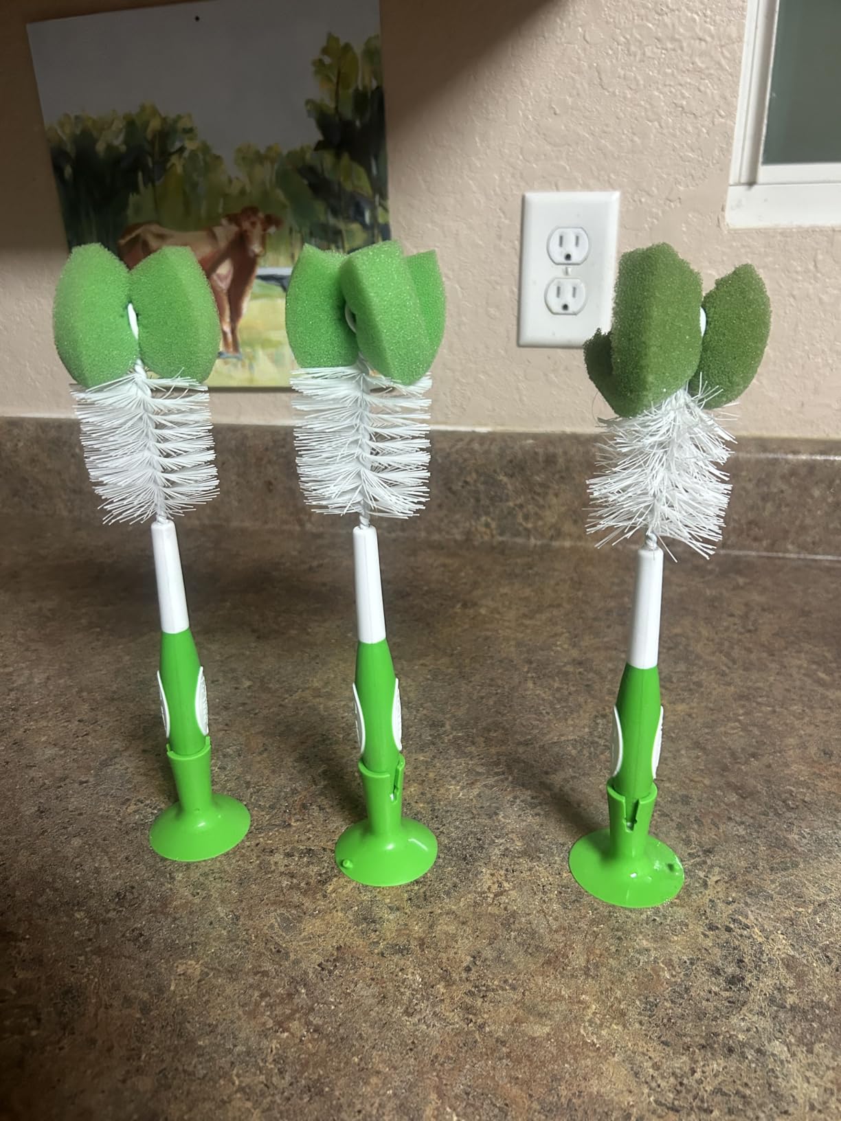 Amazon Brand - Mama Bear Baby Bottle Brush with Nipple Cleaner and Suction Cup Stand, White (Pack of 3) customer photo 1