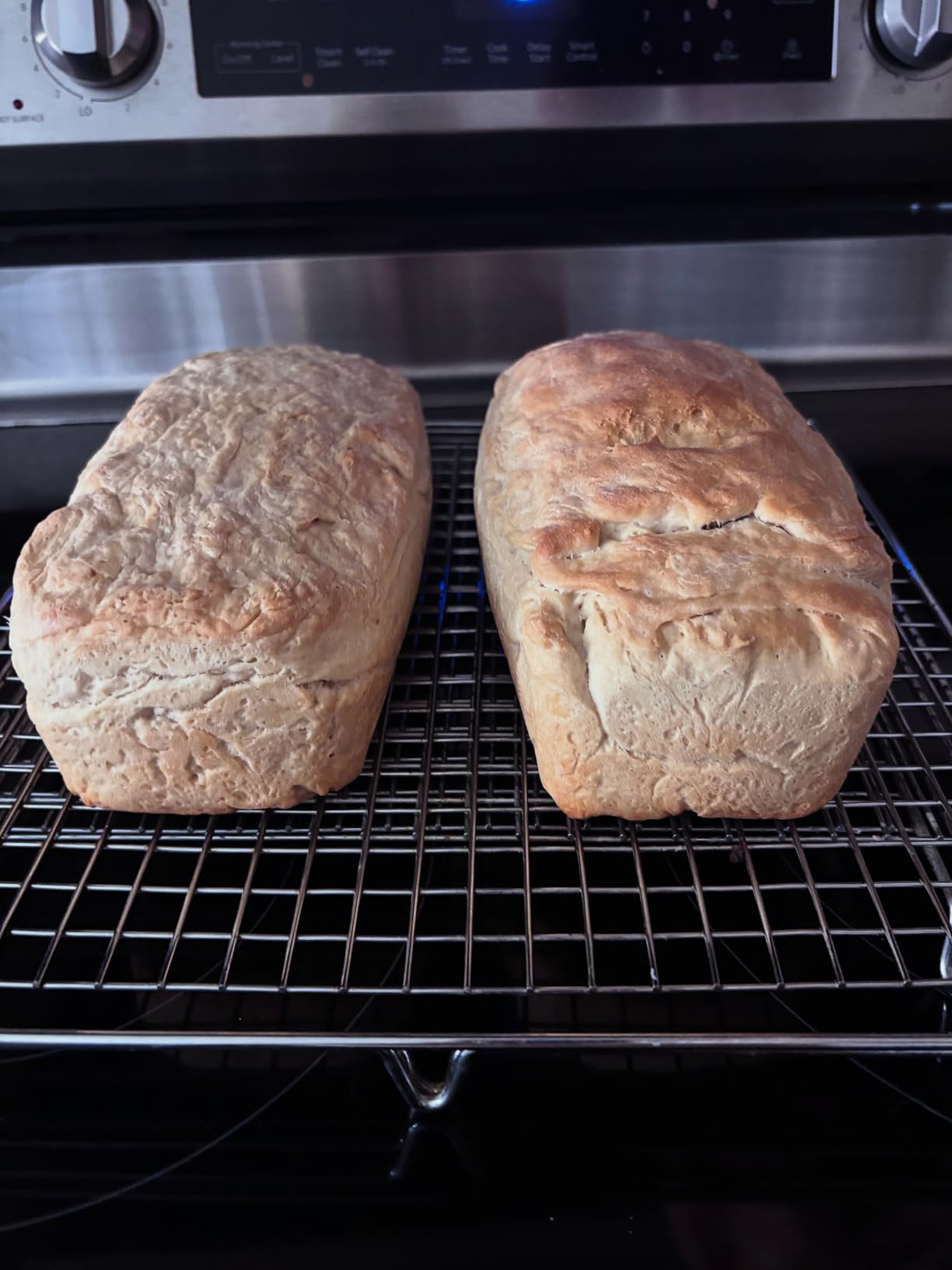 SILIVO Silicone Bread and Loaf Pans (2 Pack) - Nonstick Silicone Baking Mold for Homemade Loaf, Bread and Meatloaf - 8.9x3.7x2.5 inch customer photo 1