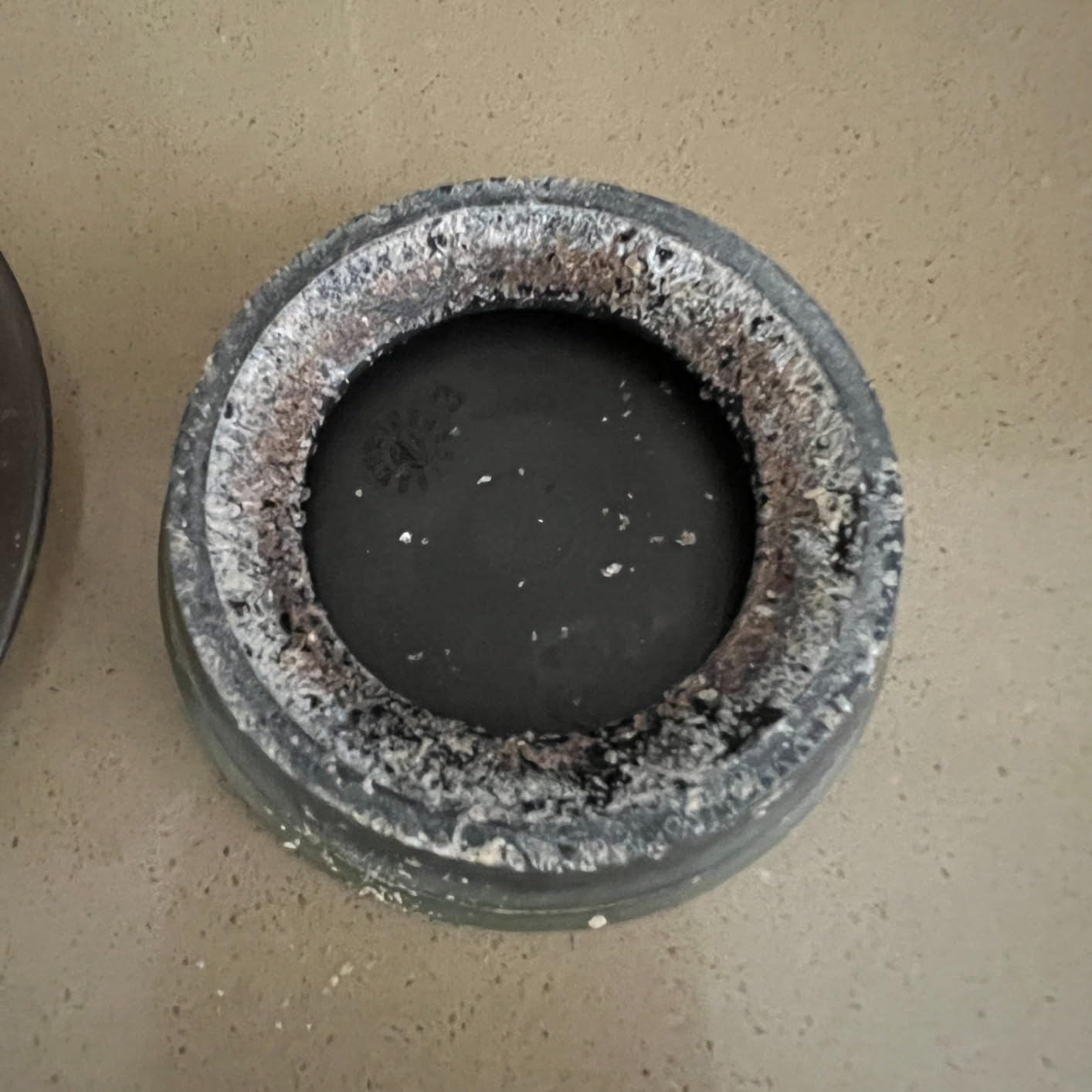 AMI PARTS Plunger Rubber Gasket Replacement Part for AeroPress Coffee and Espresso Maker (2pc) customer photo 1