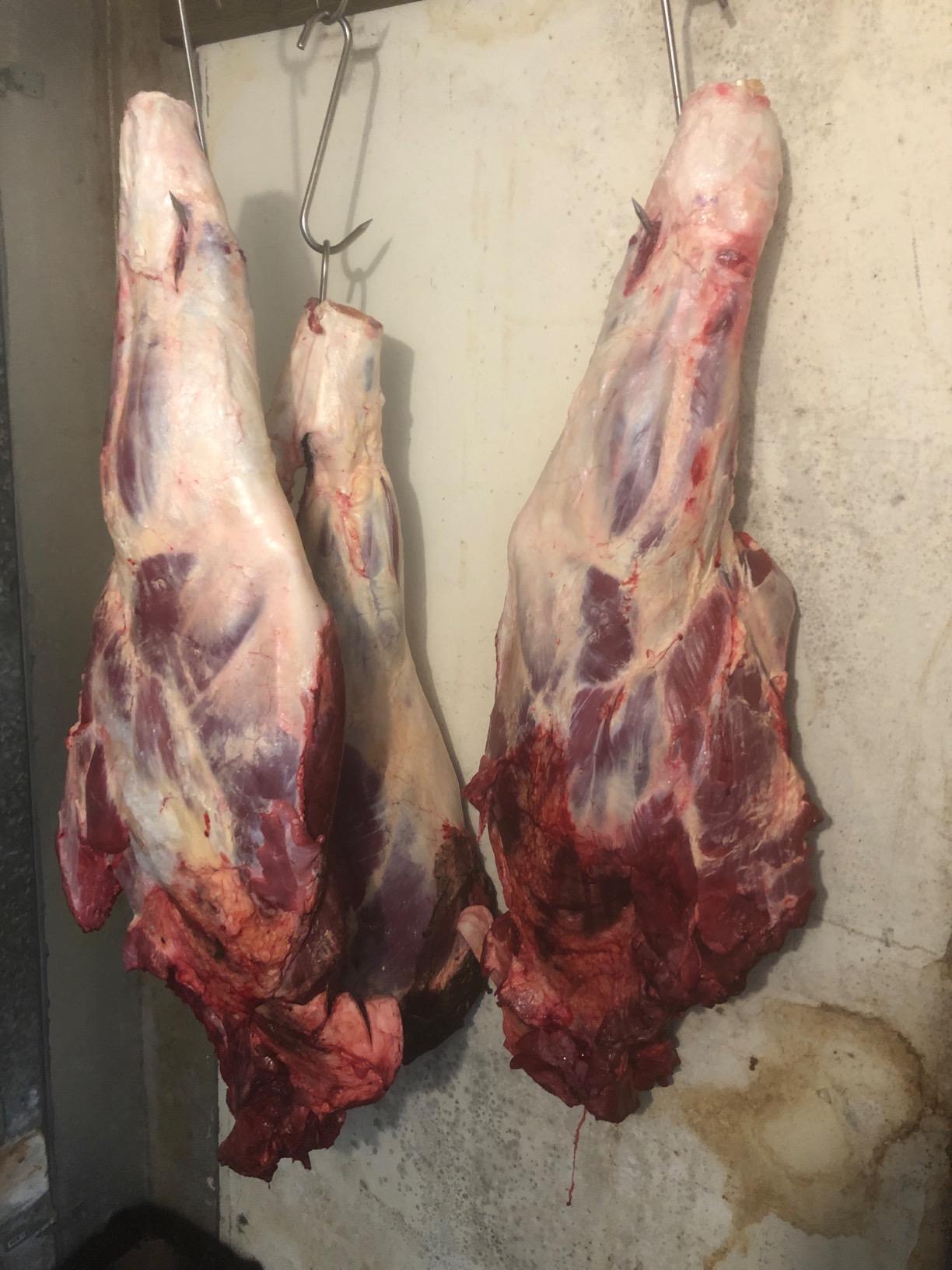 8 Inch Meat Hook,8mm Heavy Duty S-Hooks Stainless Steel Meat Processing Butcher Hook (Meat Hooks 8inch8mm4p) customer photo 2