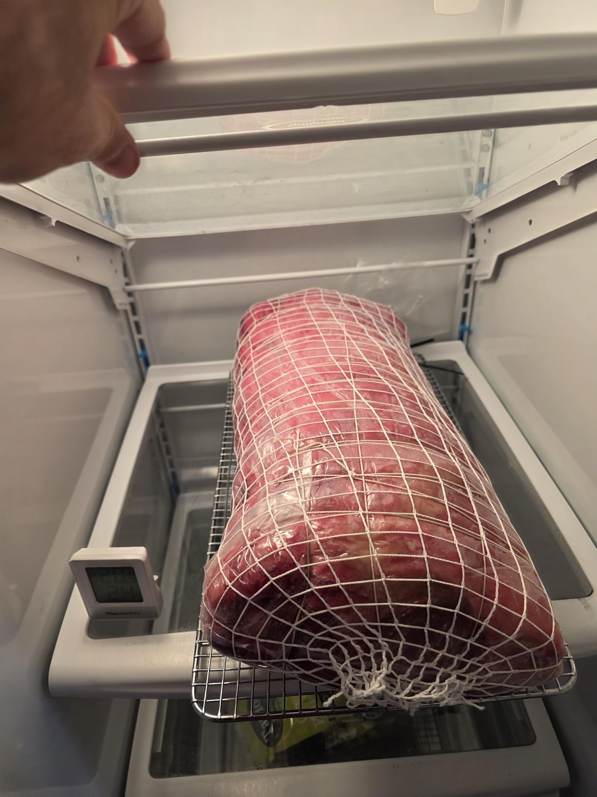 UMAi Dry Aging Bag for Steaks, Pack of 3, Dry Age Bags for Meat, Brisket or Bone-In up to 14-20 lbs, Home Steak Ager Refrigerator Bags, No Vacuum Sealer Needed, Tender Aged Beef in 28-45 Days customer photo 1