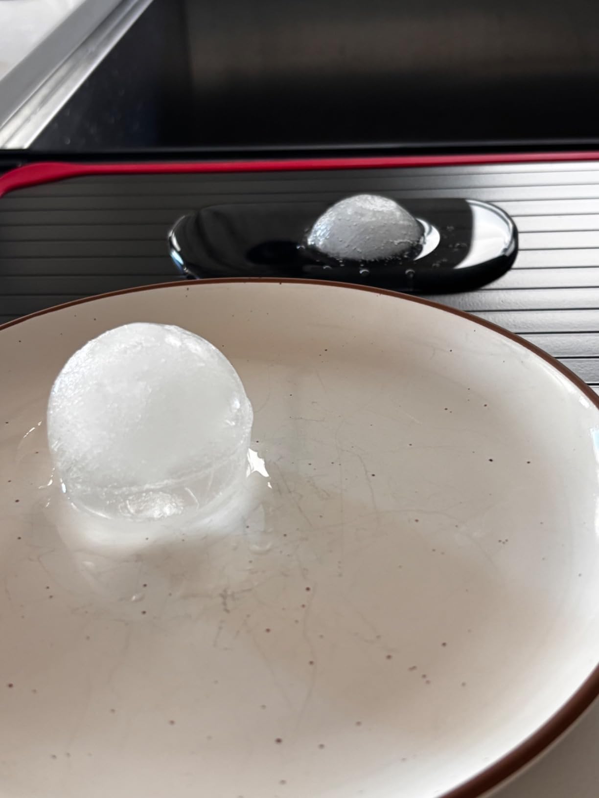 ROYOR Defrosting Plate, Thawing Tray for Frozen Meat Large, Miracle Thaw Defrosting Tray Original, Thawing Plate for Frozen Meat, Rapid thaw defrosting mat Thawing Mat customer photo 2