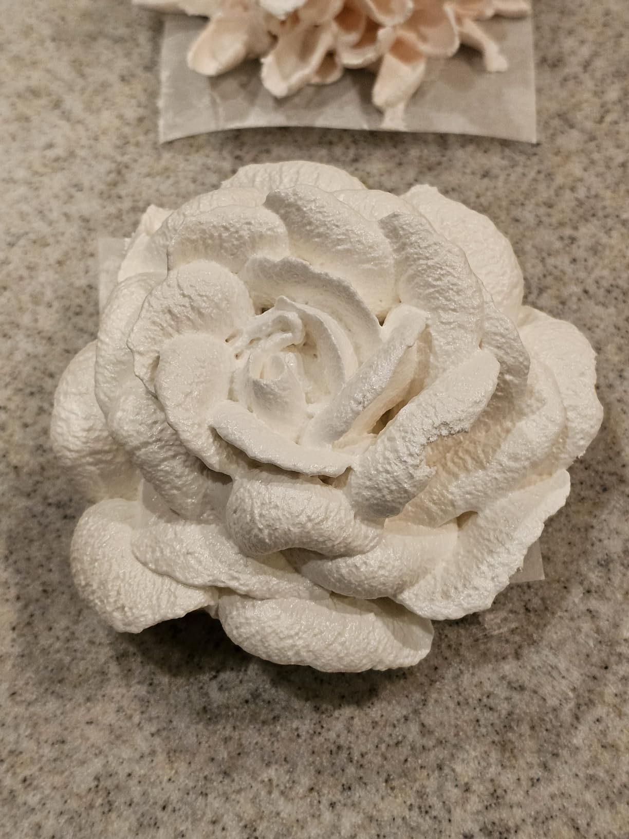 Cake Flower Nail Lifters Set Stainless Steel Baking Tools for Icing Flowers Decoration (White) customer photo 1