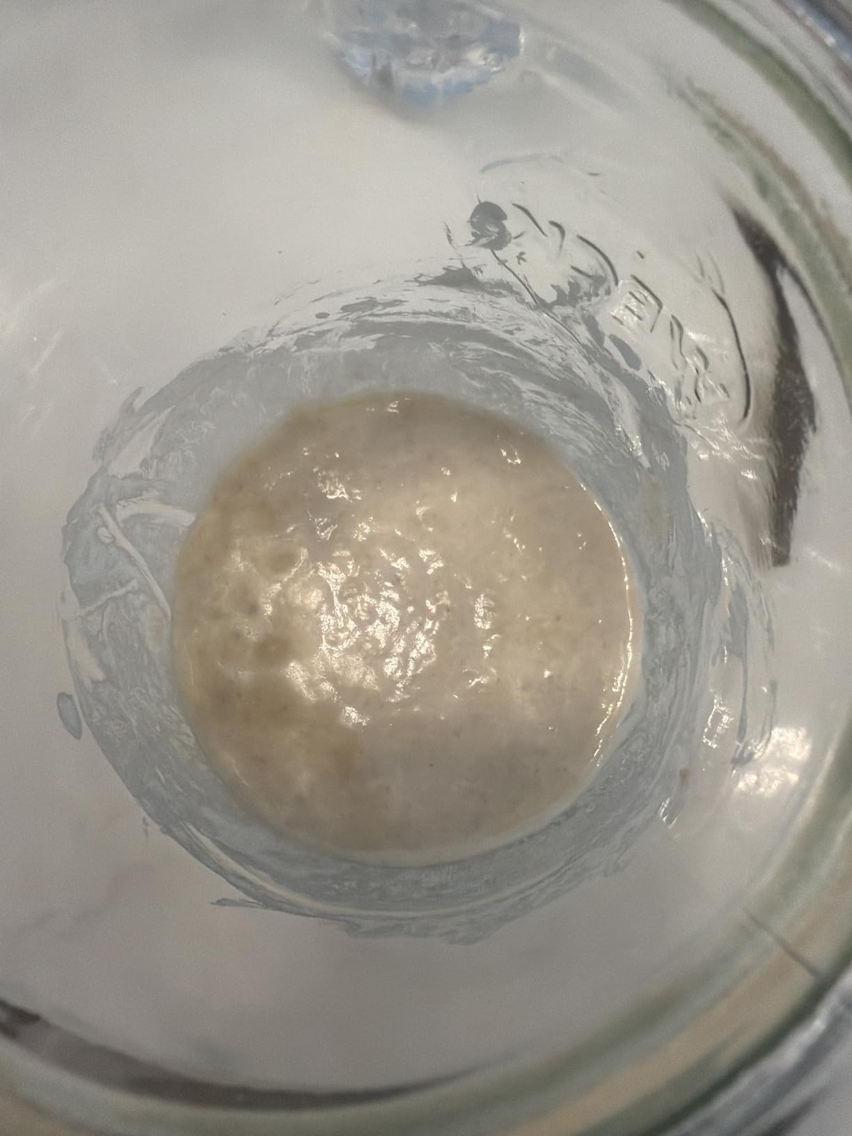 Weck Tulip Jars 1 Liter - Large Sour Dough Starter Jars with Wide Mouth - Suitable for Canning and Storage - 2 with Glass Lids customer photo 2