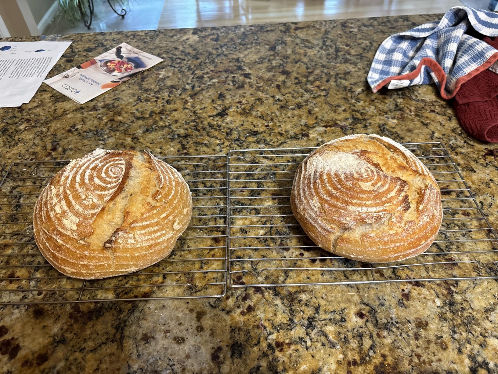 Banneton Bread Proofing Basket Set of 2: 9 Inch Round Sourdough Proofing Bowls for Artisan Bread Making for Professionals and Home Bakers customer photo 1