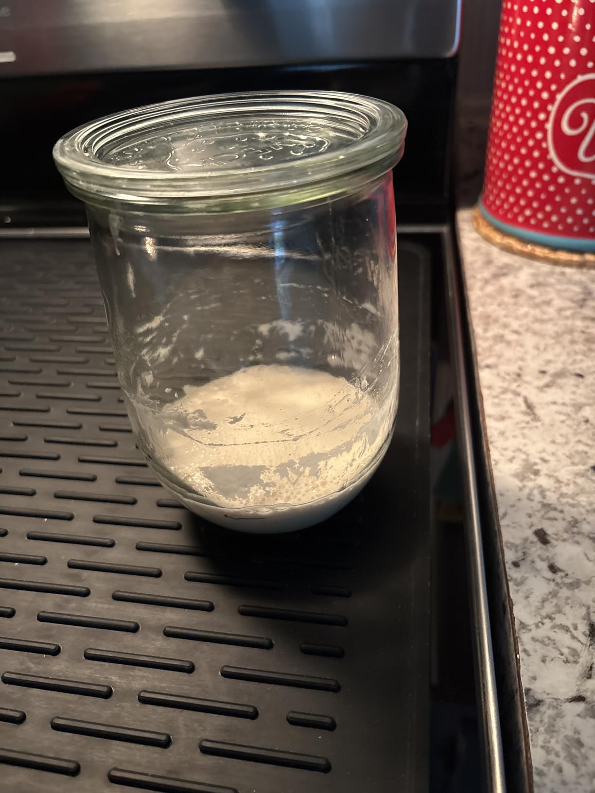 Weck Tulip Jar - Sour Dough Starter Jars for Sourdough - 1 x WECK 745 Large Clear Jar with Wide Mouth - 1 Liter Includes Glass Lid, rubber seal and steel clips customer photo 1