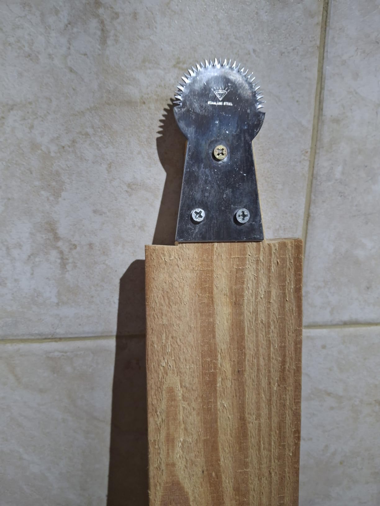 Mooninja Coconut Grater Scraper Shredder Flat Blade Head Small Utensil Manual Machine Knife For Food Hand Grinder Asian KItchen tool Stainless Steel Mini Kitchenware With 3 Screws customer photo 1